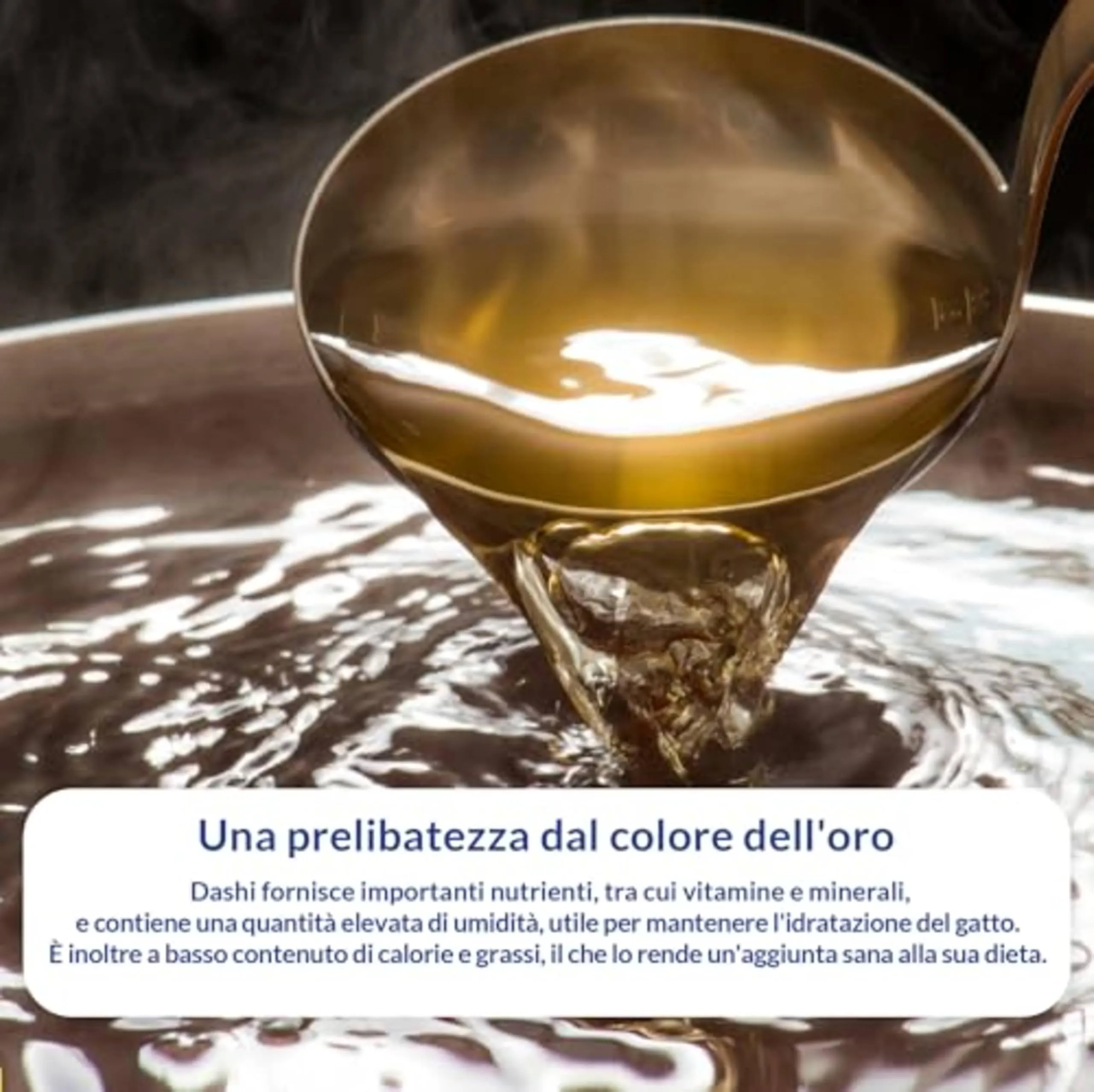 INABA Dashi Delights Delicate Flakes, Cibo Umido per Gatti con Pollo e Tonno, Fiocchi in Brodo di Pesce, Ricco di Proteine, Ingredienti Naturali, Pasto Complementare, 1 Confezione da 40 g - immagine 5