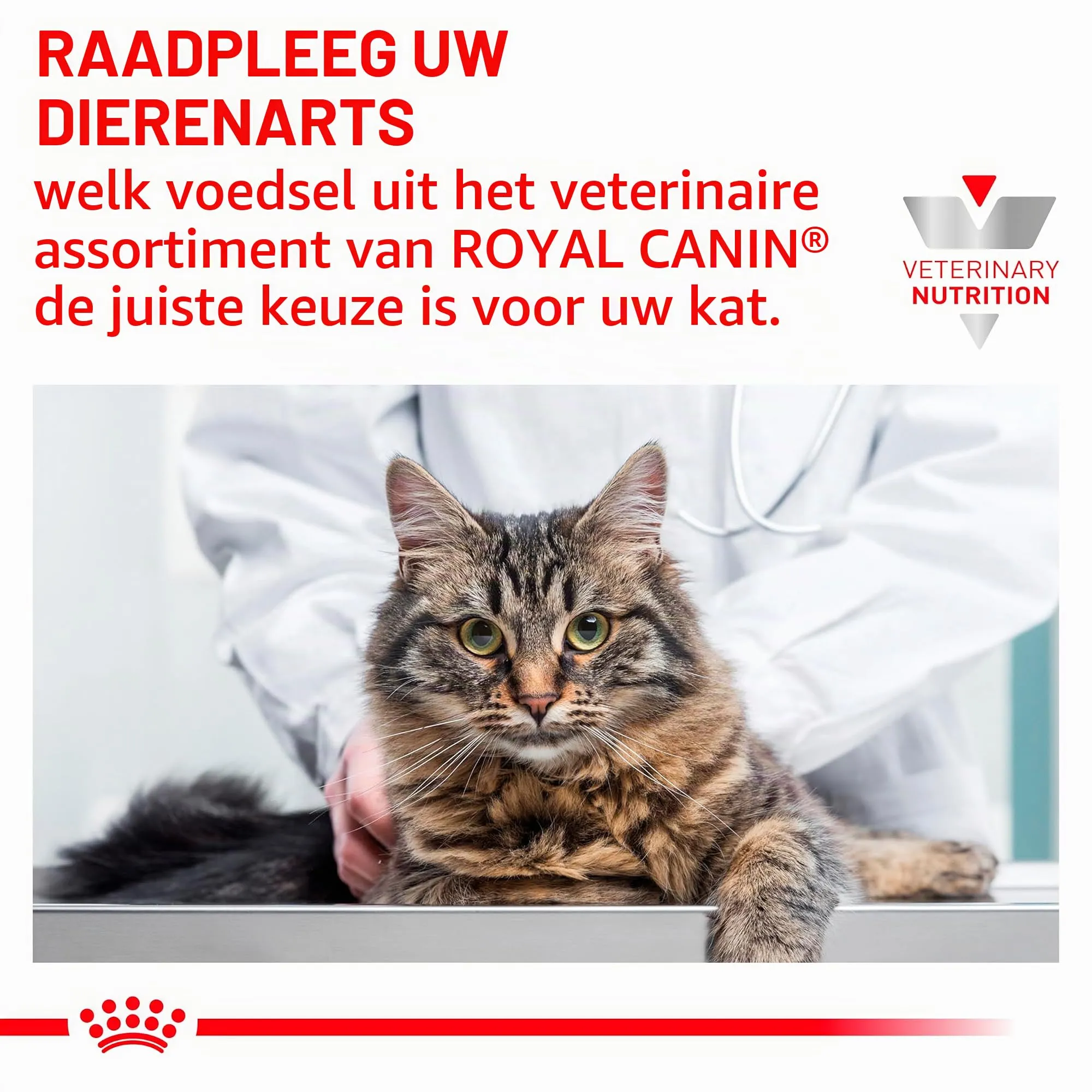Veterinary Gastrointestinal | Cibo umido per gatti | 4 x 12 x 85 g - immagine 5