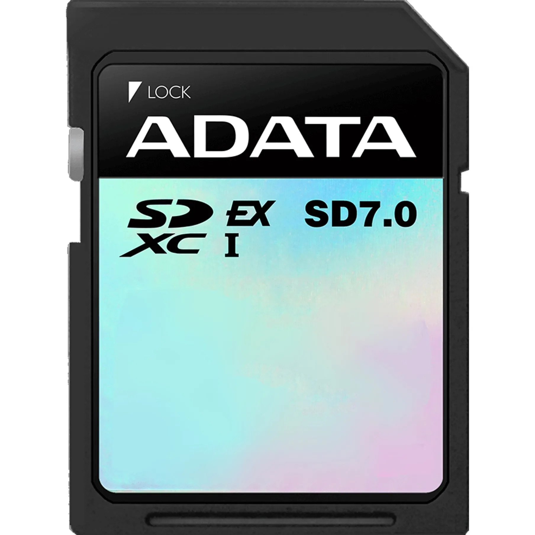 Premier Extreme 256 GB SDXC UHS-I Classe 10, Scheda di memoria - immagine 1