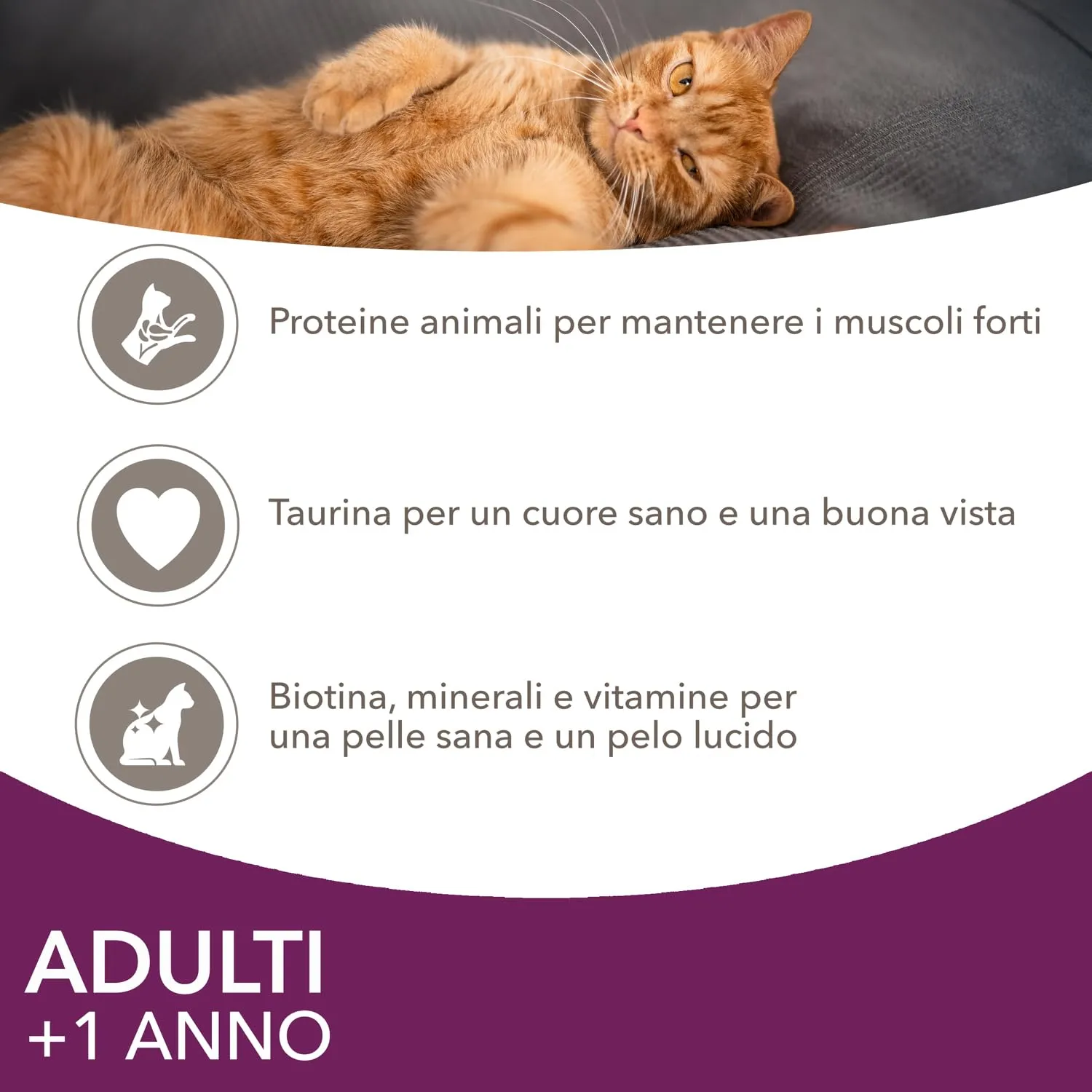 IAMS Delights Land & Sea - Cibo umido per gatti in gelatina, 72 x 85 g - immagine 5