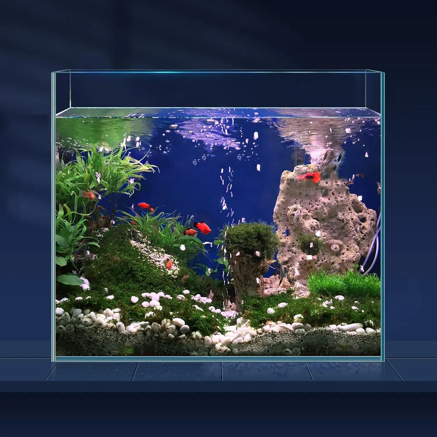 LAQUAL Vasca per Pesci in Vetro Ultra Trasparente da 25L, Acquario Senza Cornice in Vetro a Basso Contenuto di Ferro per Betta/Nano/Pesce Rosso/Lumache/Gambero, Set Vasca & Coperchio - immagine 1