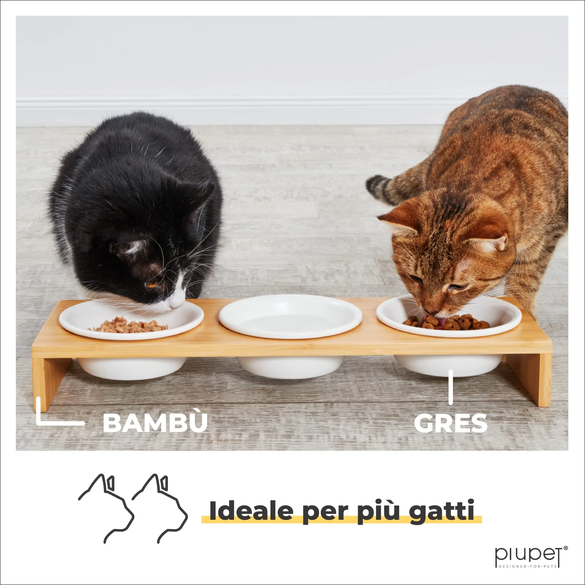 PiuPet® 3x Ciotola per Gatti Rialzata in Ceramica, 250ml - Set con Supporto - immagine 5