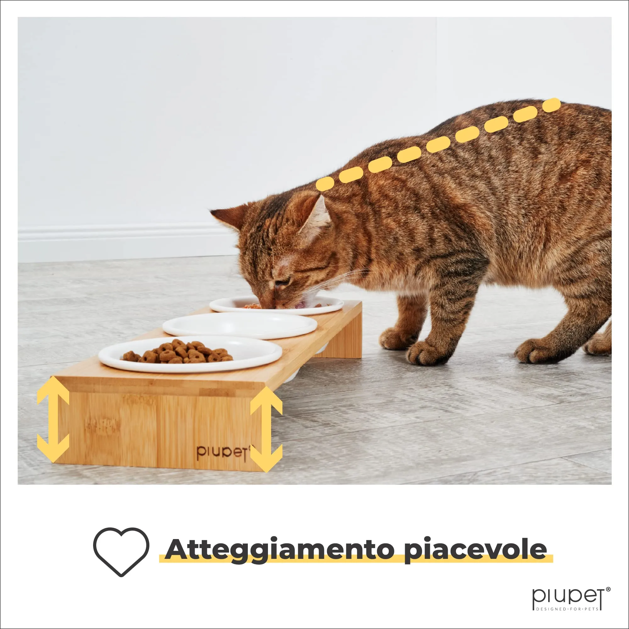 PiuPet® 3x Ciotola per Gatti Rialzata in Ceramica, 250ml - Set con Supporto - immagine 6