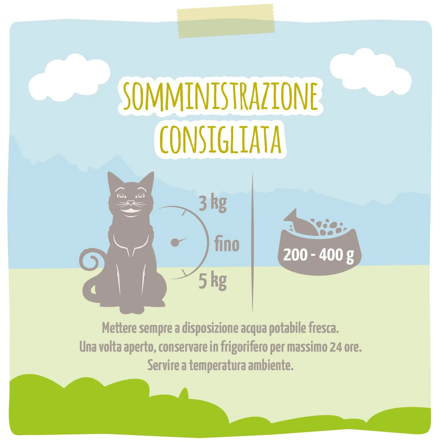 MjAMjAM - Cibo umido premium per gatti - DUO di anatra tenera e buon tacchino su zucca al vapore, confezione da 6 (6 x 400 g), senza cereali con carne extra - immagine 3