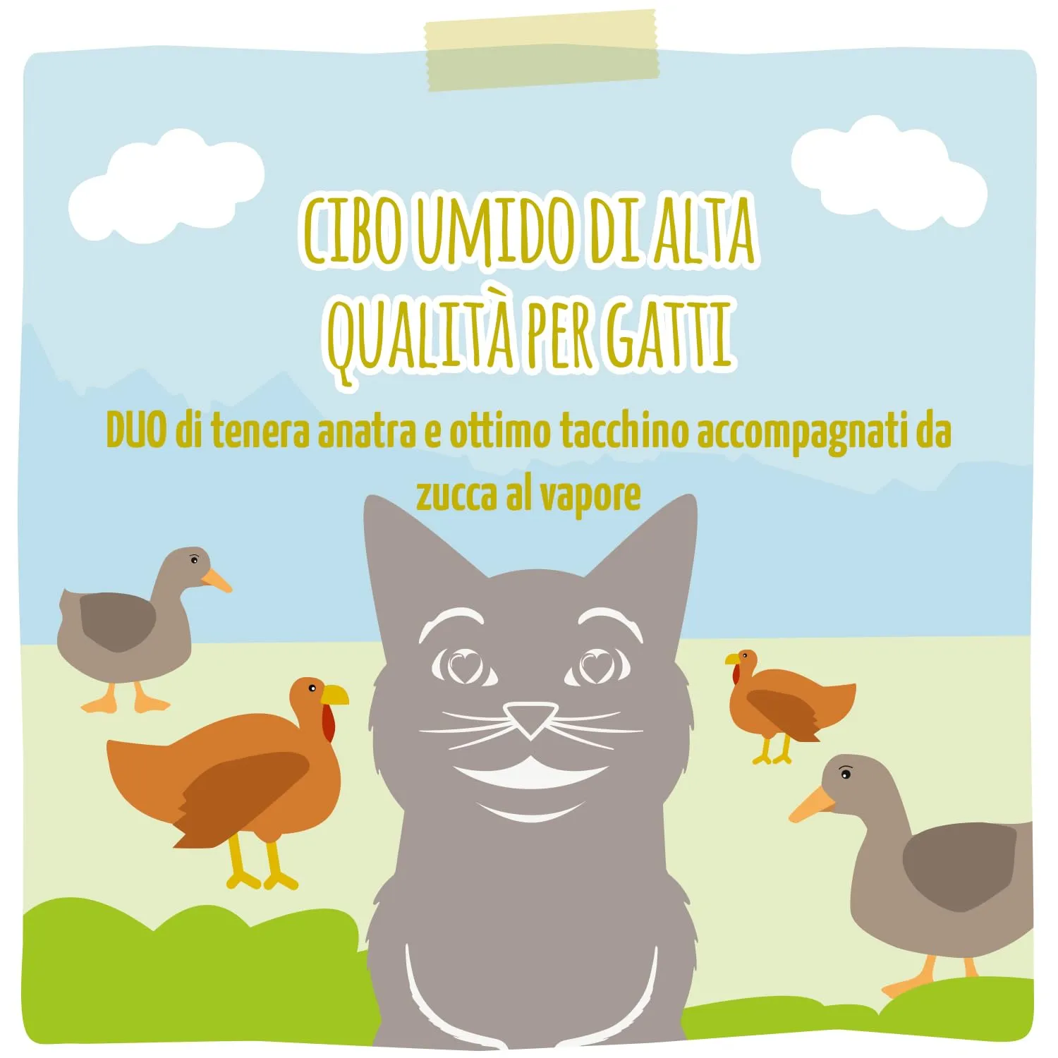 MjAMjAM - Cibo umido premium per gatti - DUO di anatra tenera e buon tacchino su zucca al vapore, confezione da 6 (6 x 400 g), senza cereali con carne extra - immagine 6