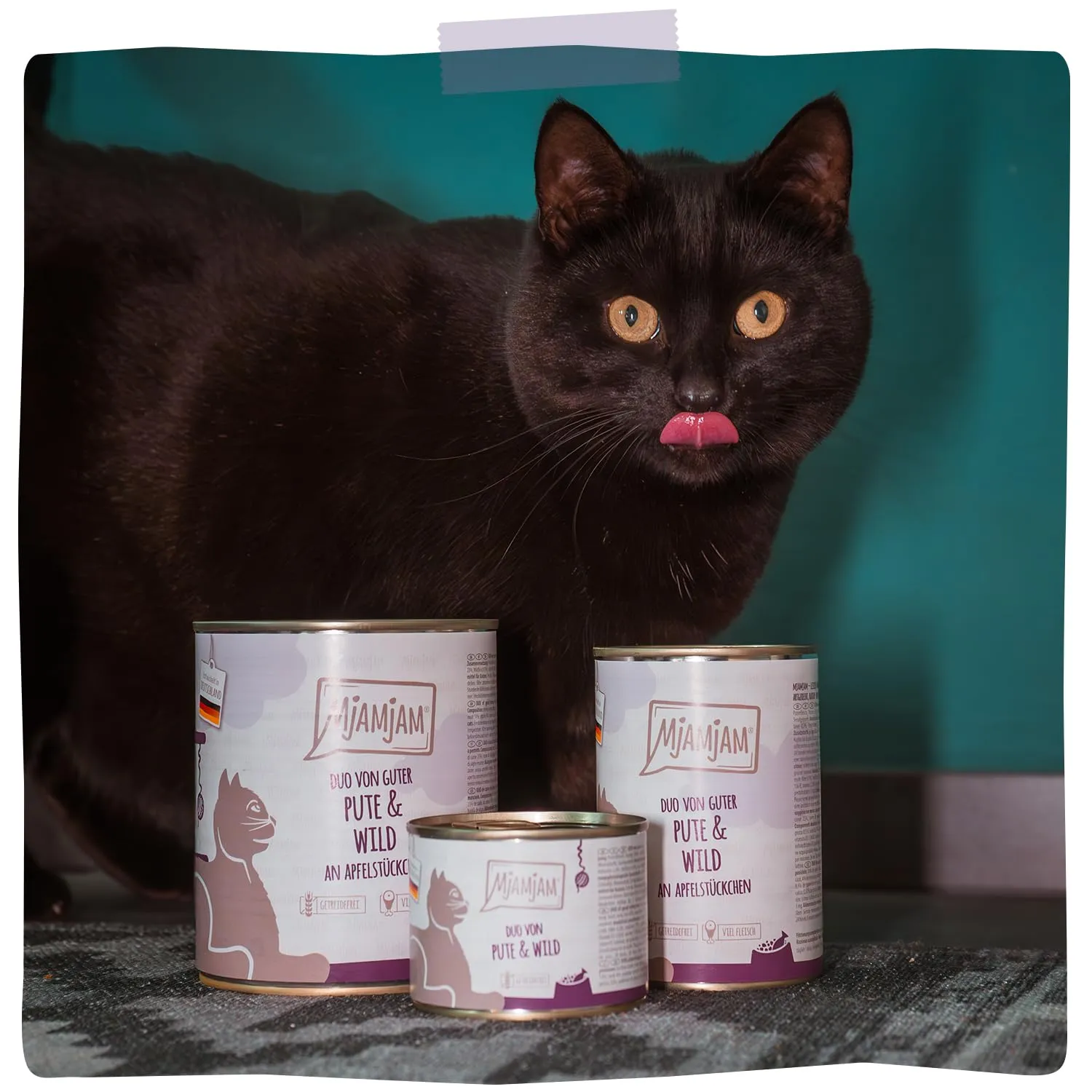 MjAMjAM - Cibo umido premium per gatti - DUO di tacchino e selvaggina con pezzi di mela, confezione da 6 6 x 800 g, senza cereali con carne extra, Tacchino + gioco, Confezione da 6 (6 x 800 g) - immagine 6