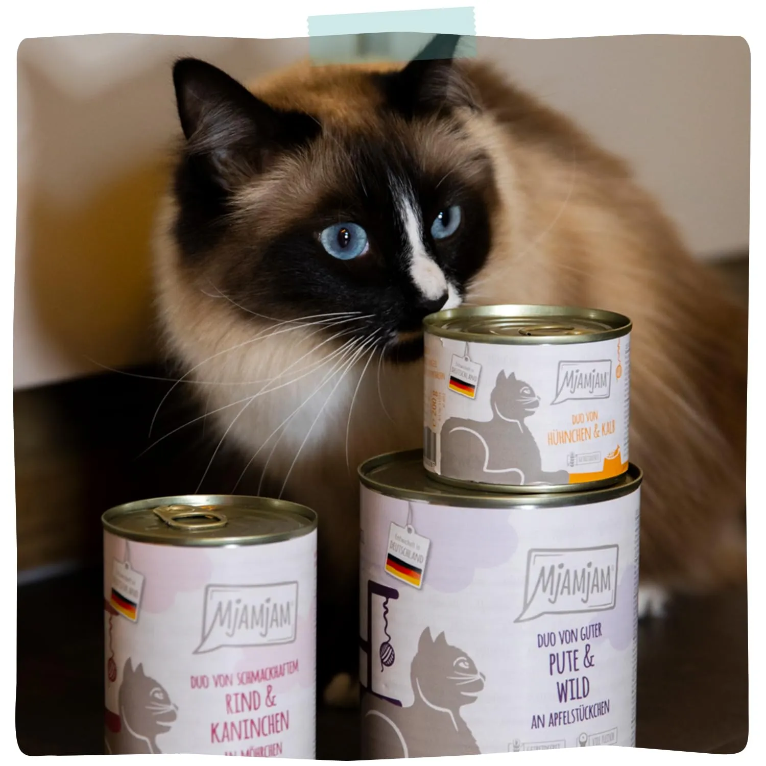 MjAMjAM - Cibo umido premium per gatti - DUO di anatra tenera e pesce d'acqua dolce con carote, confezione da 6 6 x 400g, senza cereali con carne extra, Anatra + pesce, Confezione da 6 (6 x 400 g) - immagine 6