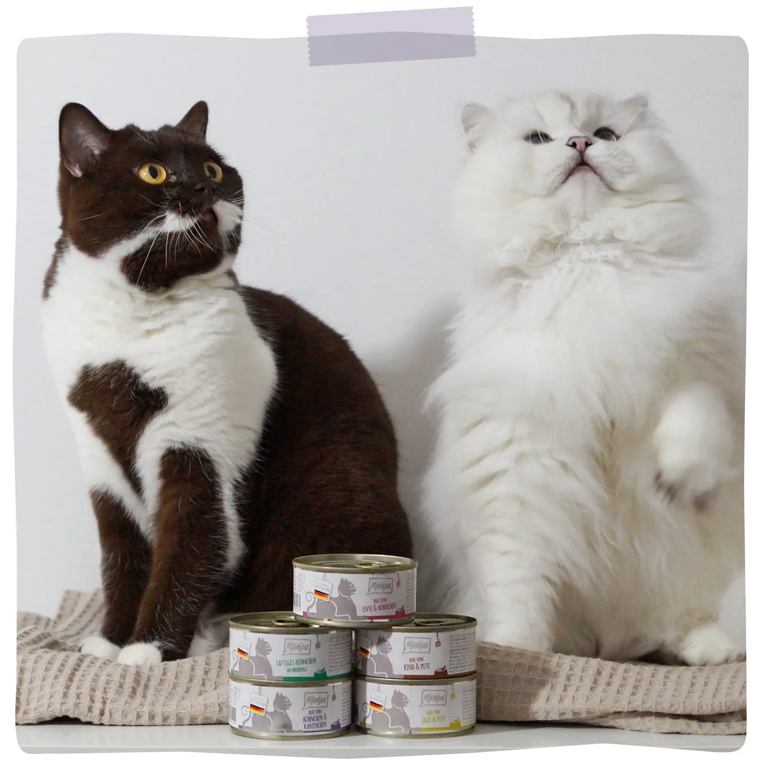 MjAMjAM - Cibo umido premium per gatti - Quetschie - DUO a base di succoso pollo e coniglio con zucca cotta a vapore, confezione da 6 (6 x 300g), senza cereali con carne extra - immagine 6