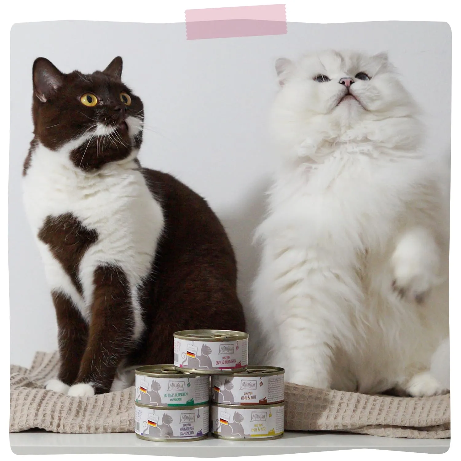 MjAMjAM - Cibo umido premium per gatti - Quetschie - DUO a base di tenera anatra e succoso pollo con carotin, confezione da 6 (6 x 300g), senza cereali con carne extra - immagine 6