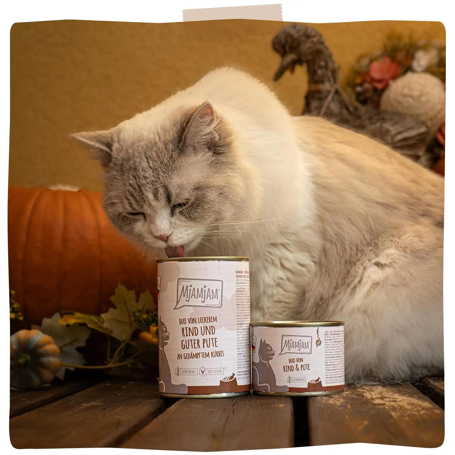 MjAMjAM - Cibo umido premium per gatti - Quetschie - DUO a base di gustoso manzo e squisito tacchino con zucca cotta a vapore, confezione da 12 (12 x 125g), senza cereali con carne extra - immagine 6