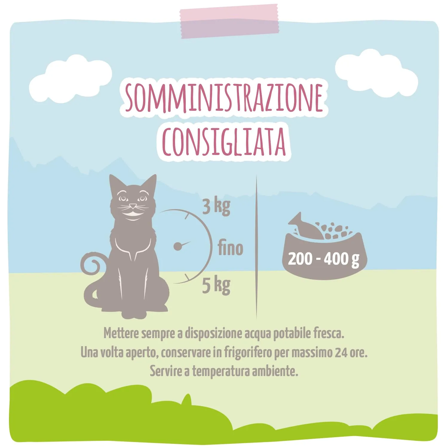 MjAMjAM - Cibo umido premium per gatti - Quetschie - DUO a base di tenera anatra e succoso pollo con carotin, confezione da 12 (12 x 125g), senza cereali con carne extra - immagine 3