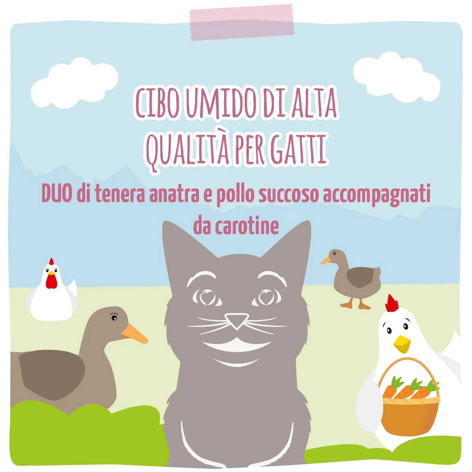 MjAMjAM - Cibo umido premium per gatti - Quetschie - DUO a base di tenera anatra e succoso pollo con carotin, confezione da 12 (12 x 125g), senza cereali con carne extra - immagine 5