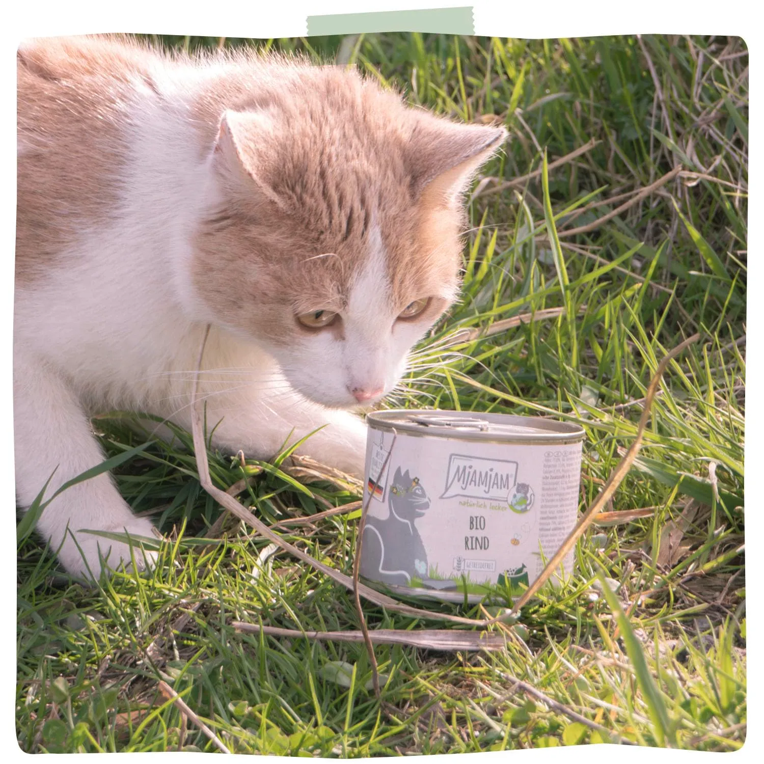 MjAMjAM - Cibo umido premium per gatti - naturalmente delizioso - manzo BIO, confezione da 6 (6 x 400 g), senza cereali con carne extra - immagine 7