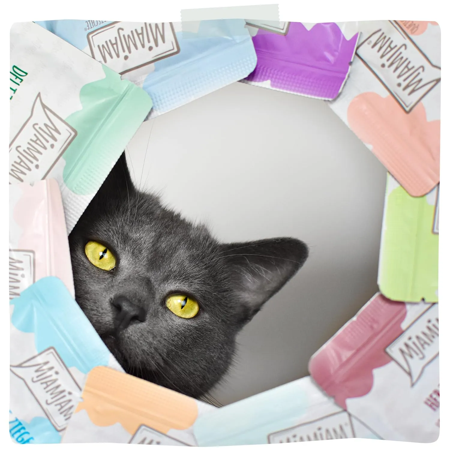 MjAMjAM - Cibo umido premium per gatti - Squeeze - DUO di delizioso vitello e aringa, confezione da 12 (12x125g), senza cereali - immagine 6