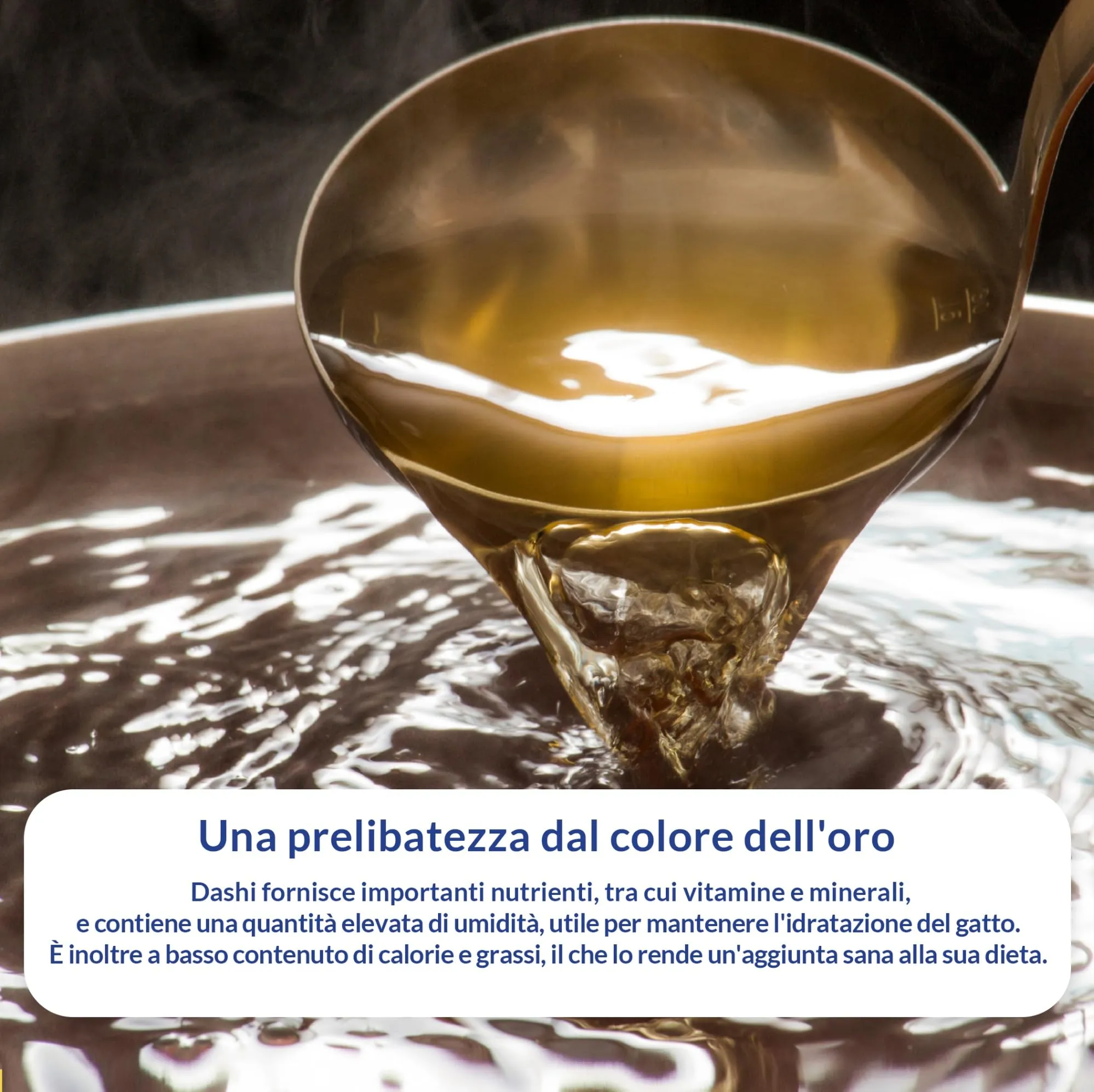 INABA Dashi Delights Delicate Flakes, Cibo Umido per Gatti con Pollo e Formaggio, Fiocchi in Brodo di Pesce, Ricco di Proteine, Ingredienti Naturali, Pasto Complementare, 12 Confezioni da 40 g - immagine 5