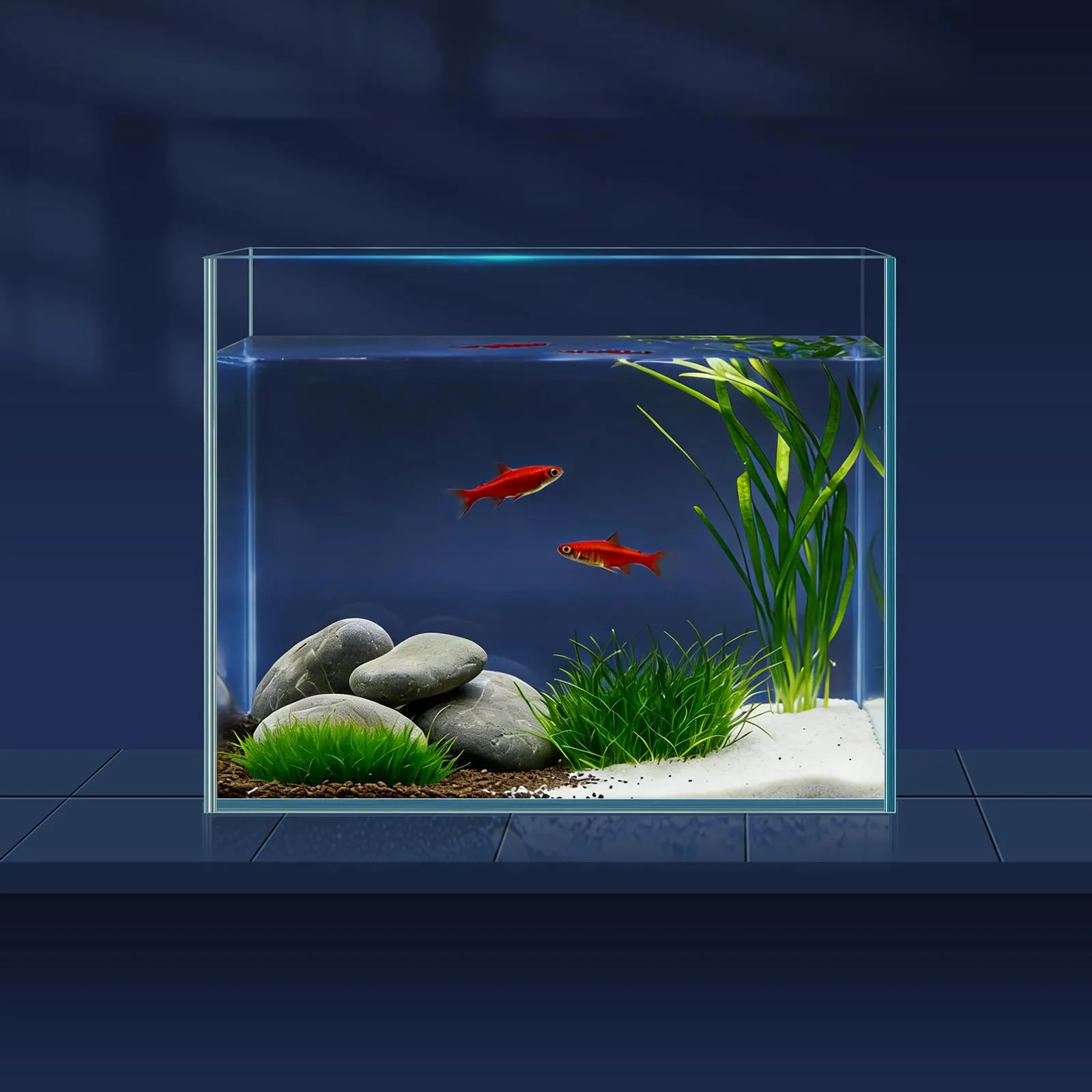 LAQUAL Kit acquario da 3.8 L con rete, sifone per acqua & 2 panni pulizia, vetro cristallino, piccolo acquario per Betta & pesci rossi, bella decorazione casa - immagine 1