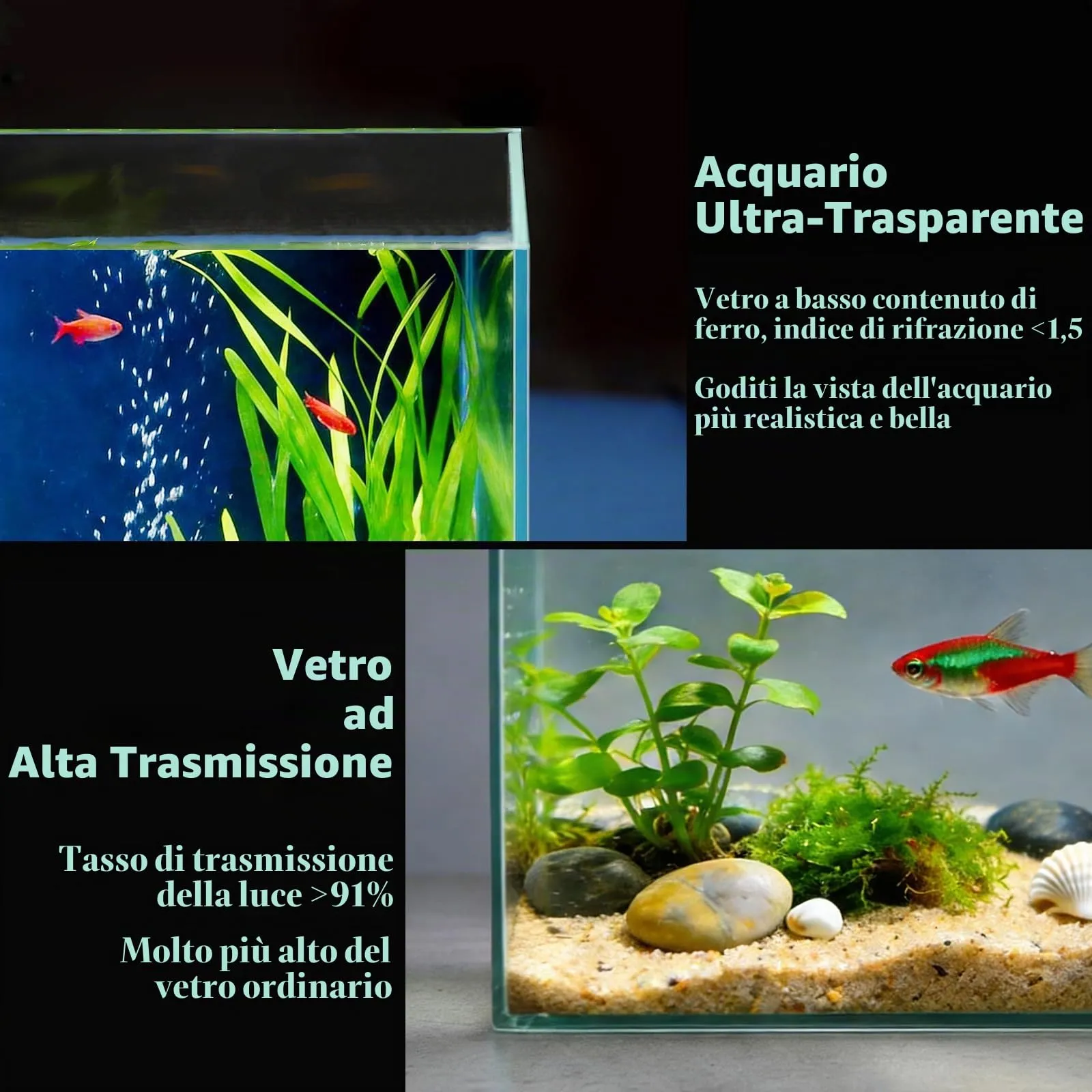 LAQUAL Kit acquario da 3.8 L con rete, sifone per acqua & 2 panni pulizia, vetro cristallino, piccolo acquario per Betta & pesci rossi, bella decorazione casa - immagine 3