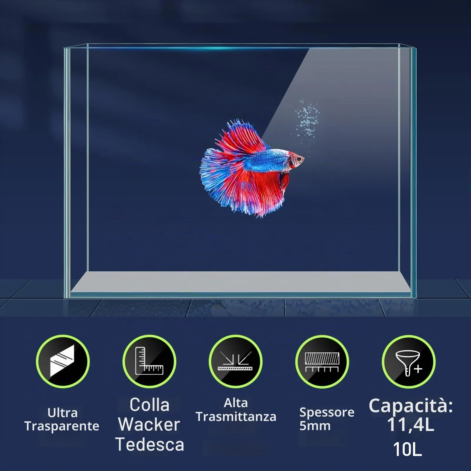 LAQUAL Acquario da 10 litri con retino e sifon per cambio acqua, in vetro cristallino, piccolo acquario per pesci betta e rossi, bella decorazione domestica - immagine 2