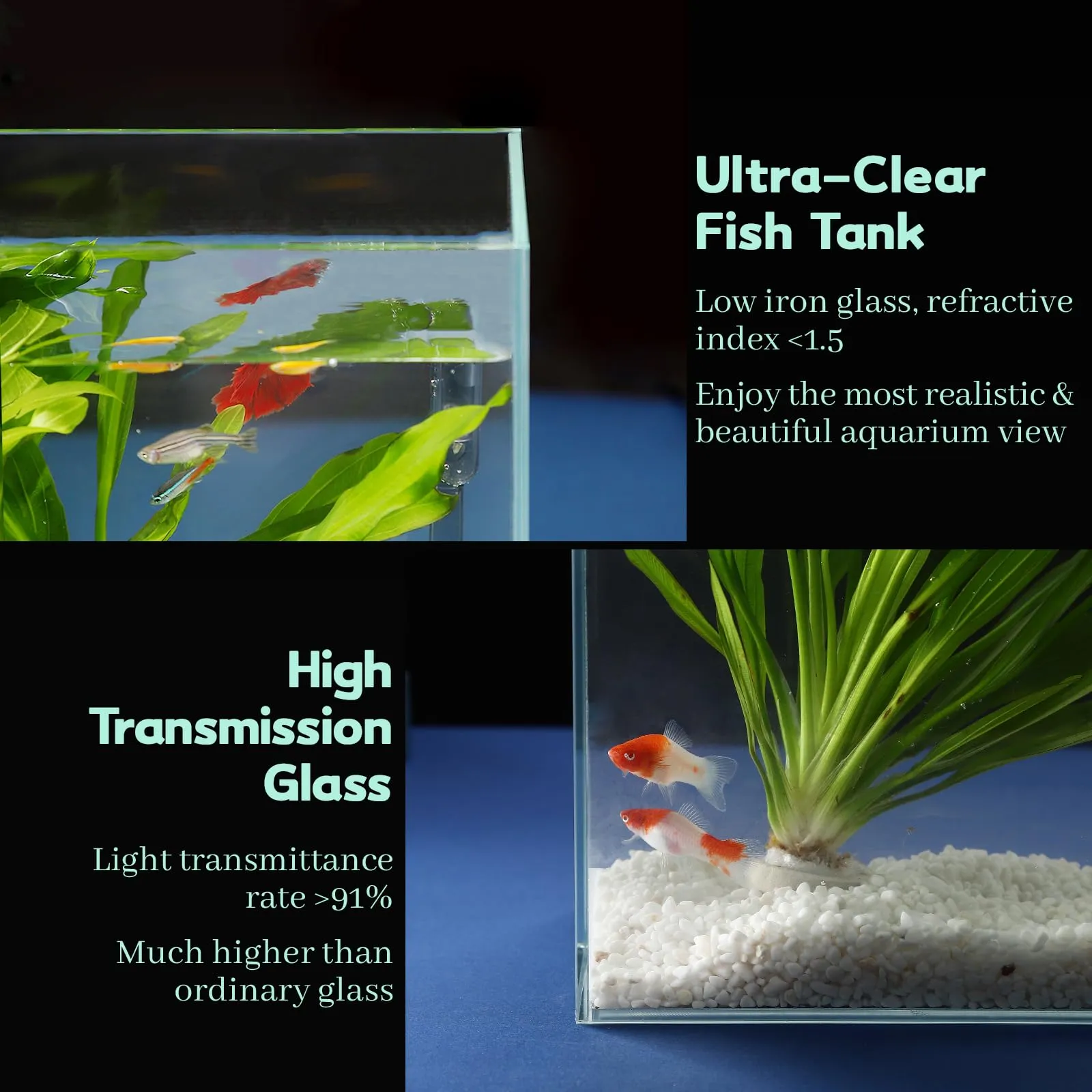 LAQUAL Acquario da 10 litri con retino e sifon per cambio acqua, in vetro cristallino, piccolo acquario per pesci betta e rossi, bella decorazione domestica - immagine 3