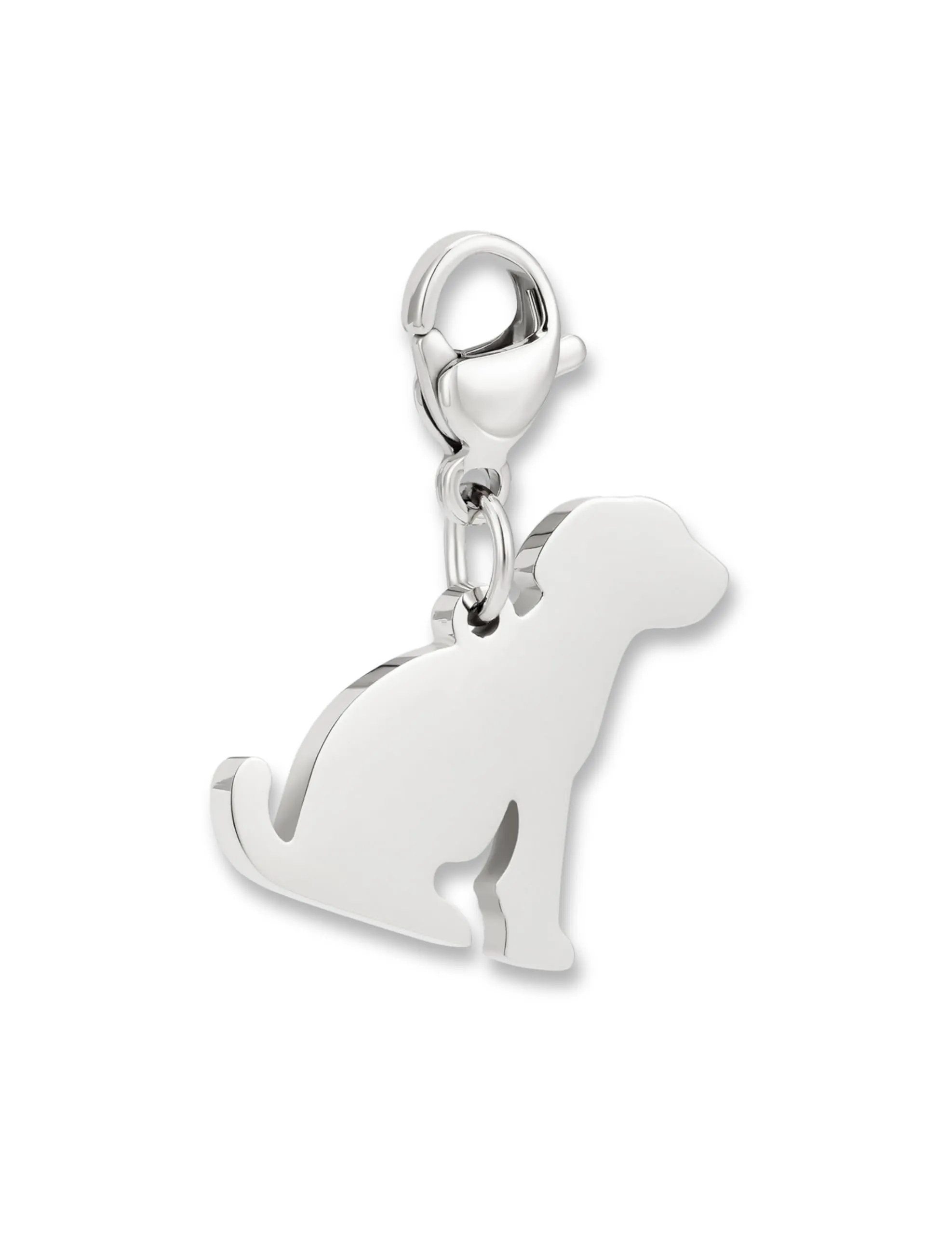 GD GOOD.designs Charms ciondolo cane con chiusura a moschettone | Ciondolo per collana color argento in acciaio inox 316L | Charm per bracciale, color argento | Resistente all'acqua - immagine 1