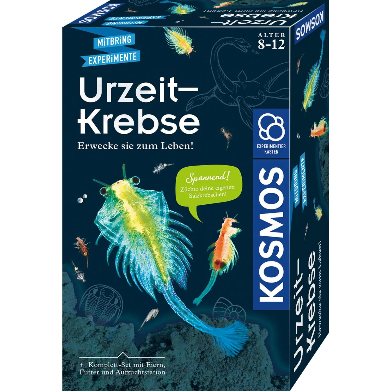 65787 Set da gioco, Casella di esperimento - immagine 1