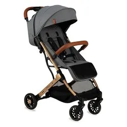 Passeggino 4 ruote ( 6 mesi - 15 kg ) ESTELLE GOLD Grey WOSP00018 - immagine 1