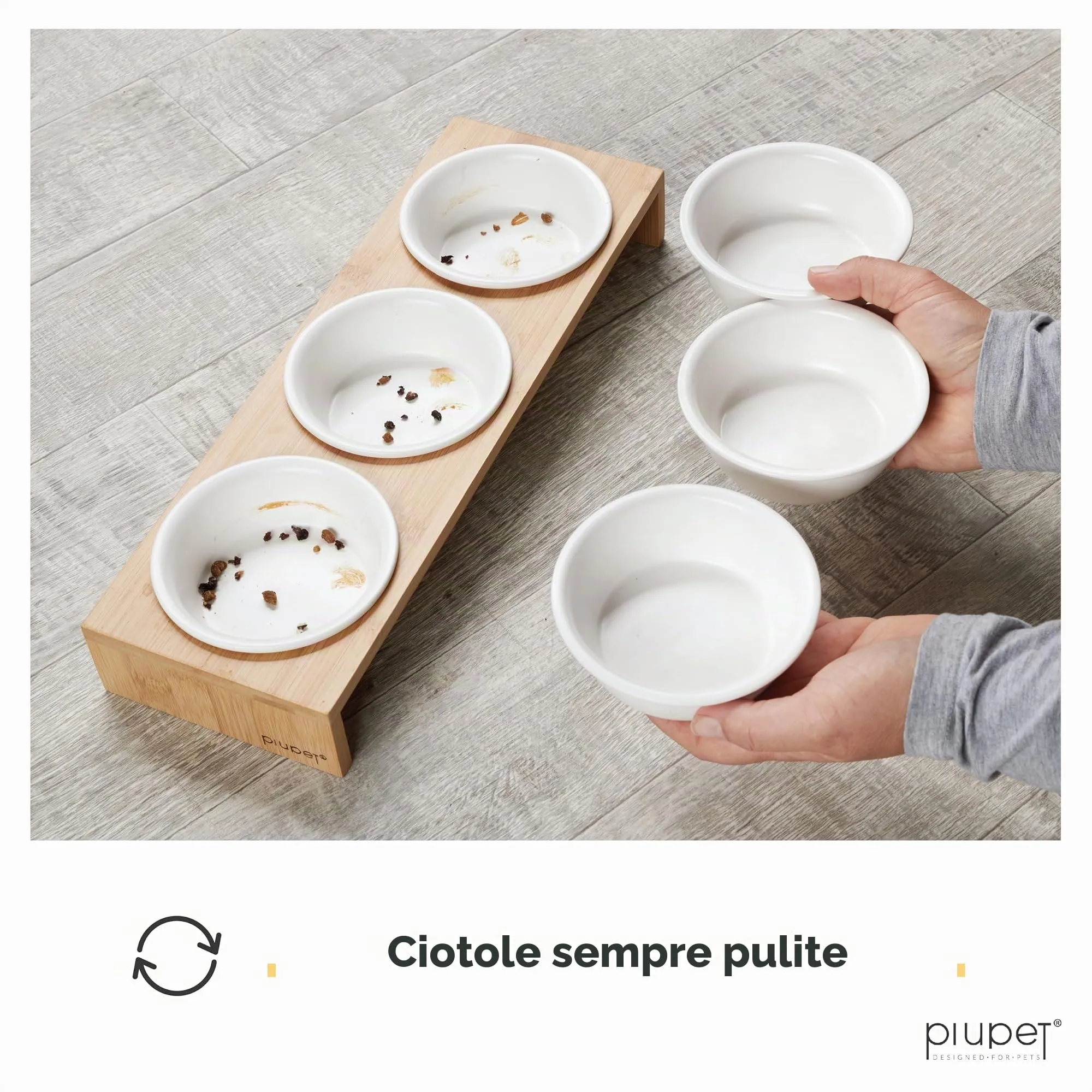 PiuPet® Set 3 Ciotole Rialzate per Gatti e Cani Piccoli, Ceramica - 250ml - immagine 4