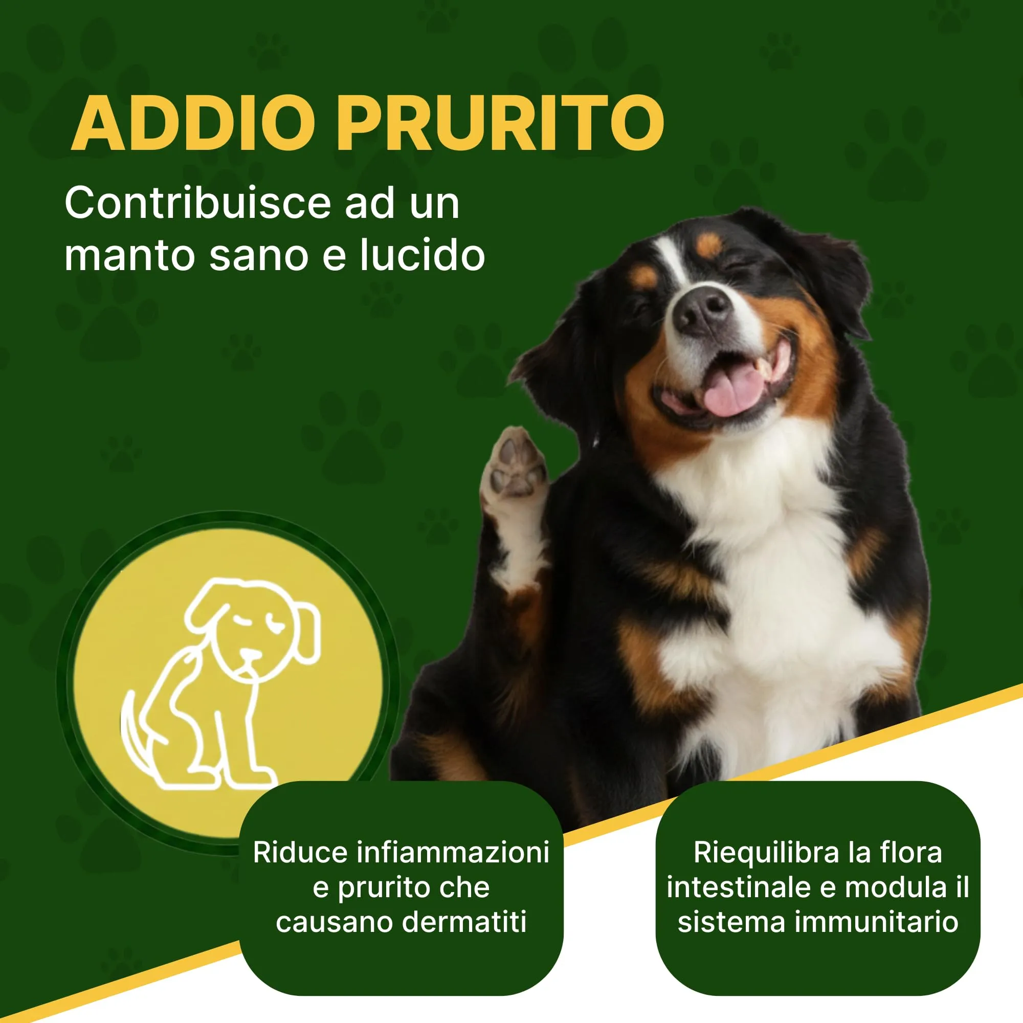 ProbioticPet Maxi 60 Compresse Probiotici per Cani | Probiotico Digestivo utile per Prurito | Integratore super appetibile | Supporto per Diarrea Cane, Flora Batterica e Digestione | Longevity Pet - immagine 8