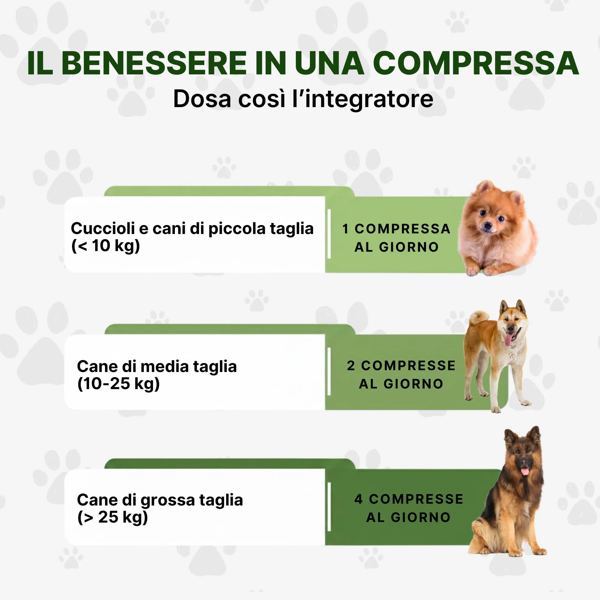 ProbioticPet Cane 30 Compresse per Prurito, Dermatite, Digestione | Probiotici per Cani FOS e MOS | Integratori per cani | Supporto per Diarrea Cane e Gatto | Made in Italy Longevity Pet - immagine 5
