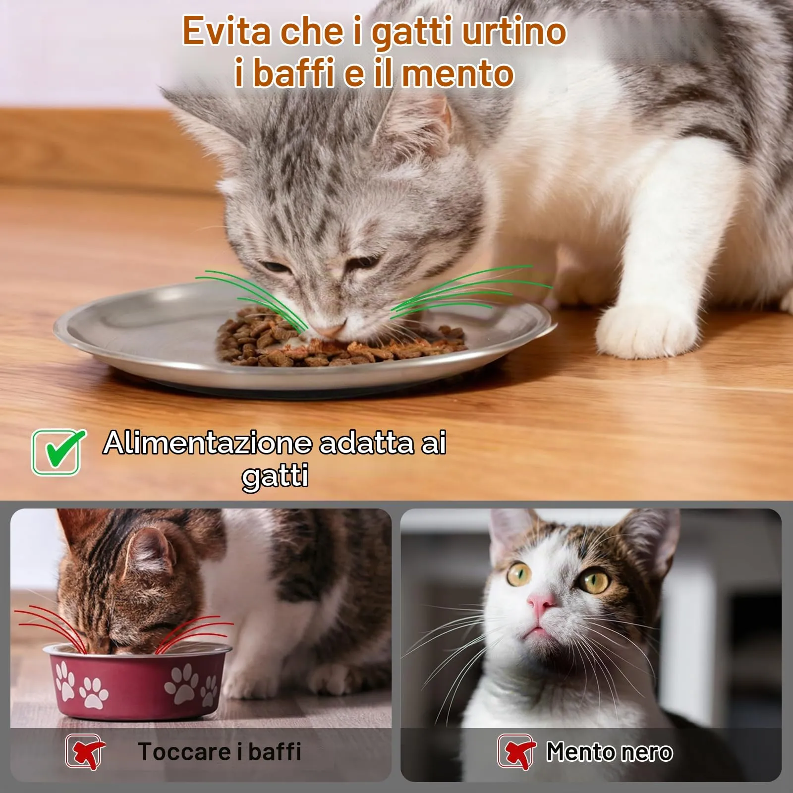 Alaoo 2 Pezzi Ciotole Piatte per Gatti in Acciaio Inox, 17 cm - immagine 5