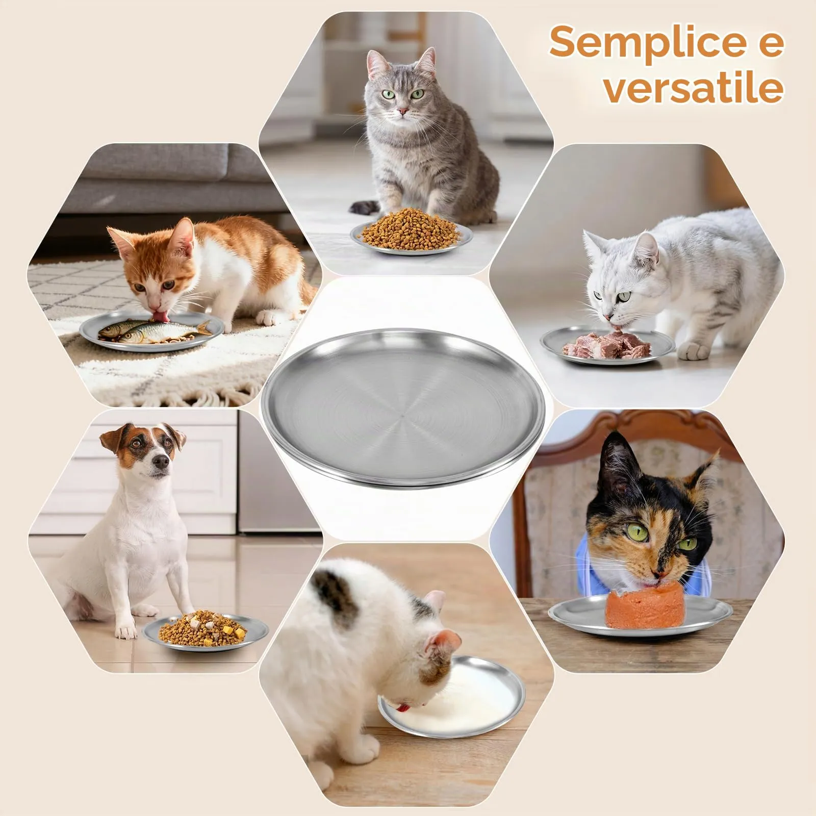 Alaoo 2 Pezzi Ciotole Piatte per Gatti in Acciaio Inox, 17 cm - immagine 7