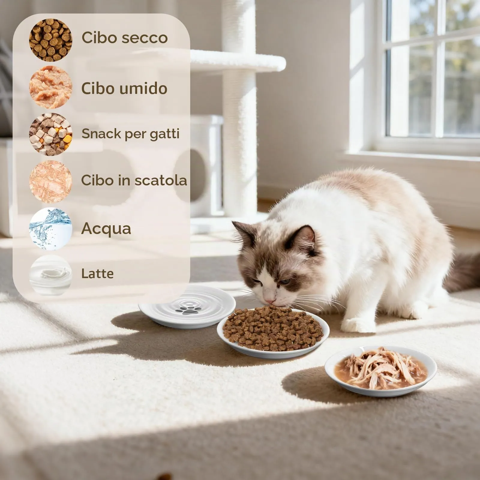 Alitree 6 Pezzi Ciotole per Gatti in Ceramica, Ciotola Gatti con Base - immagine 5