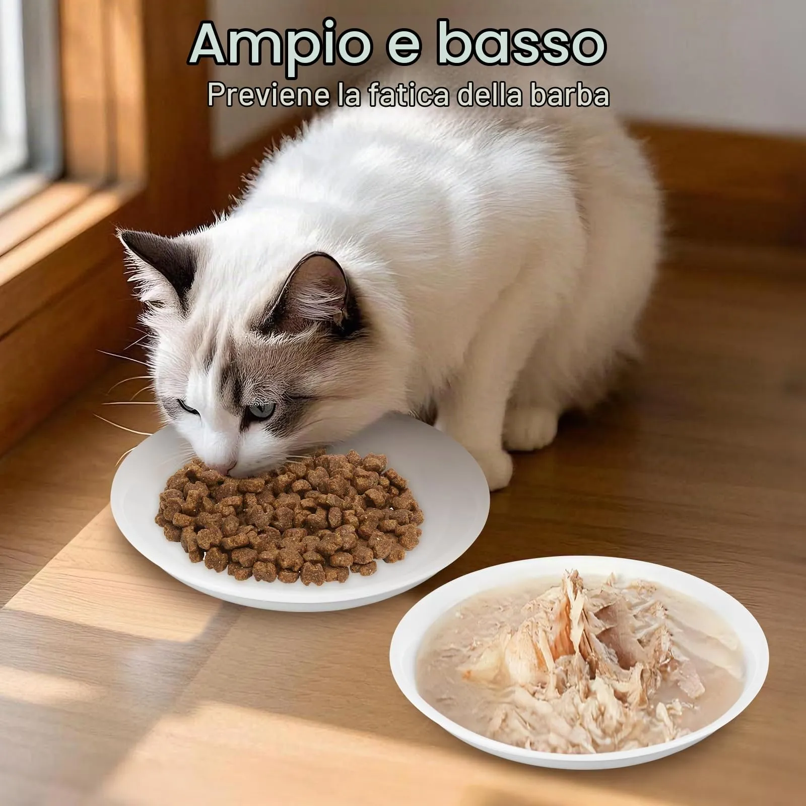 Alitree 6 Pezzi Ciotole per Gatti in Ceramica, Ciotola Gatti con Base - immagine 7