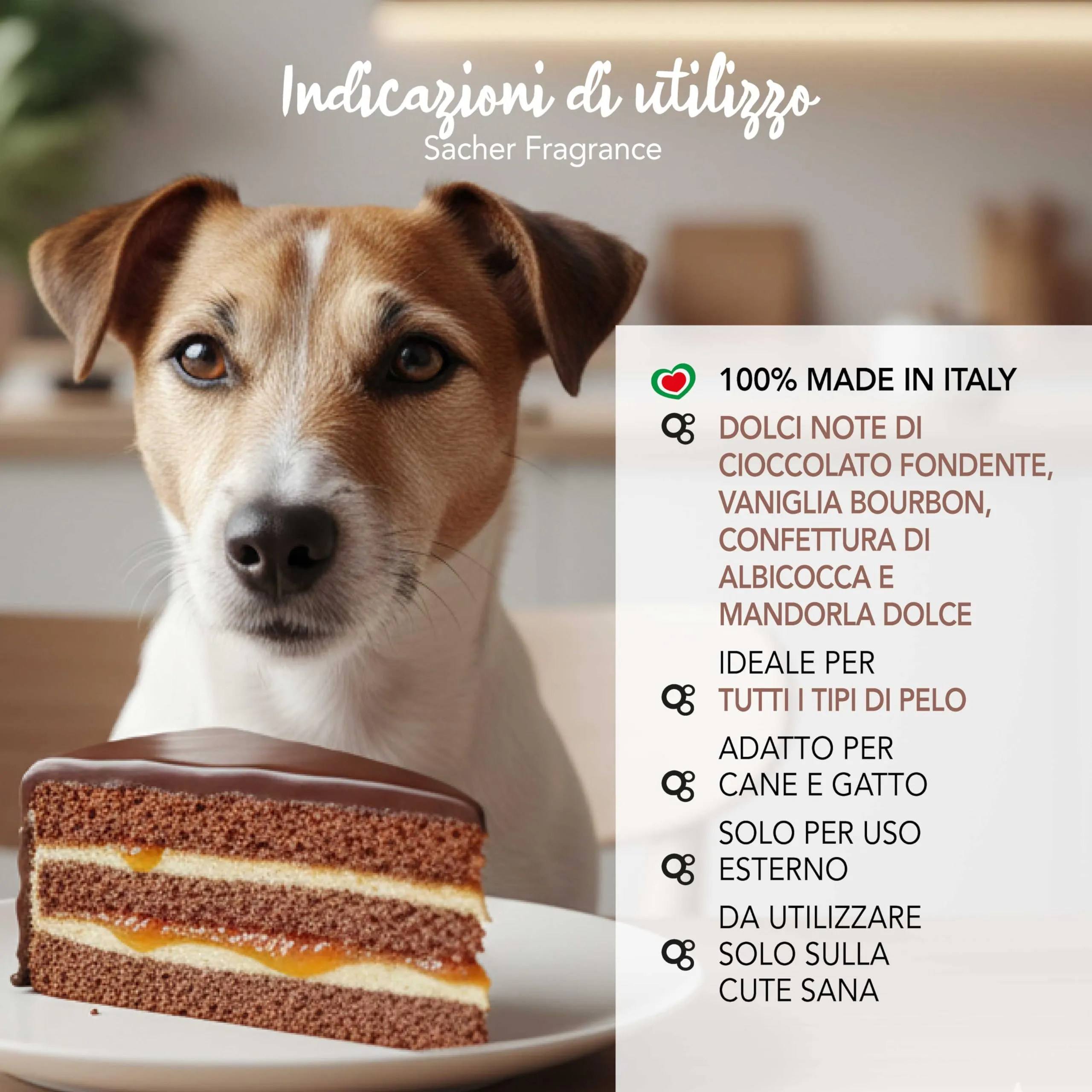 YUUP! - Acqua profumata condizionante per cane e gatto senza alcool Sacher, 150 ml, profumo a lunga durata con note di cioccolato fondente e vaniglia - immagine 4
