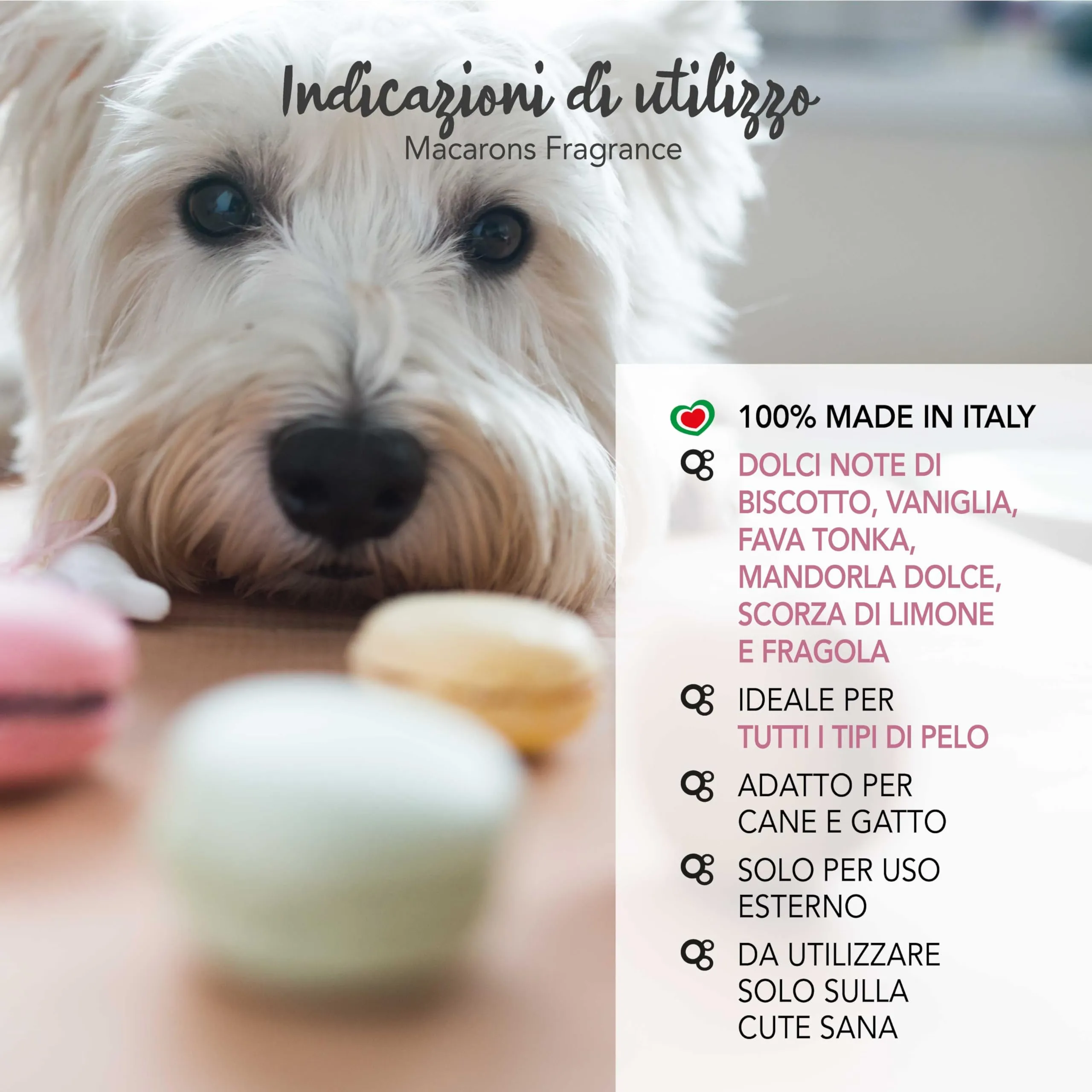 YUUP! - Acqua profumata condizionante per cane e gatto senza alcool Macarons, 150 ml, profumo a lunga durata con note di mandorle dolci, scorza di limone e fragola - immagine 4