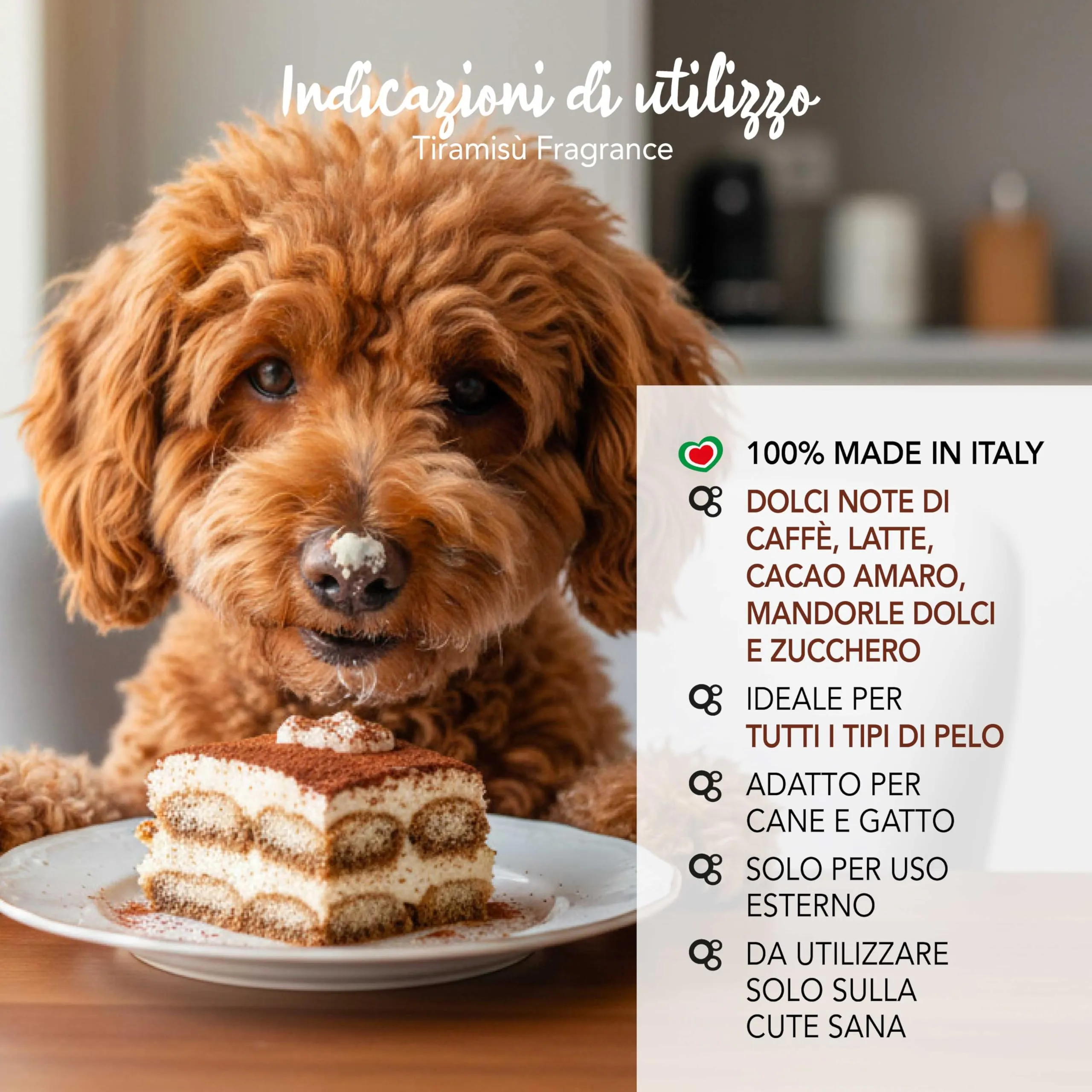 YUUP! - Acqua profumata condizionante per cane e gatto senza alcool Tiramisù, 150 ml, profumo a lunga durata con note di caffè e cioccolato amaro - immagine 4