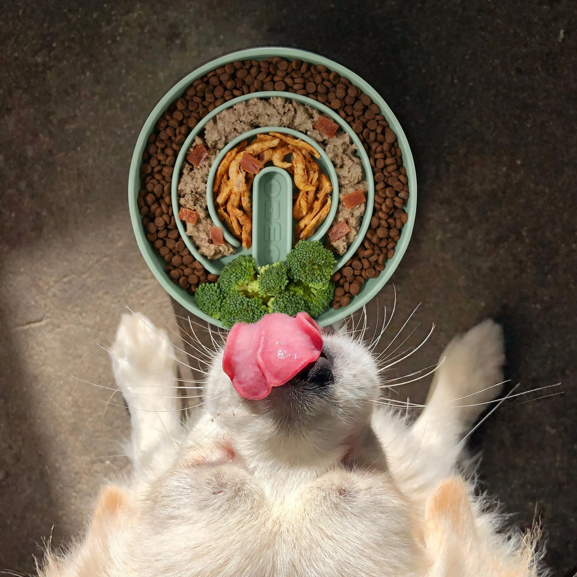 OHMO Ciotola per cani e gatti Slow Feeder, antiscivolo, con ventosa, in silicone alimentare, anti-soffocamento e anti-gonfiore (verde salvia, M-Infinite, 18,5 cm) - immagine 5