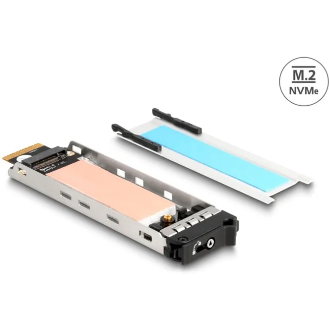 Telaio rimovibile inserto 1 x SSD M.2 NVMe per 47028 - immagine 1