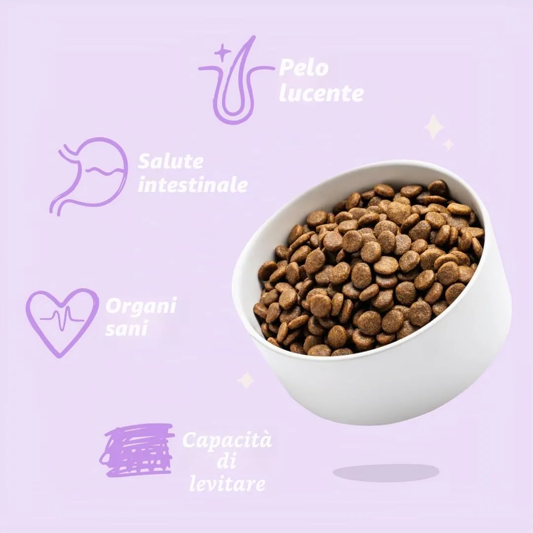 Edgard & Cooper Crochette Cani Adulti, Senza Cereali Per Cani Di Taglia Medium (7kg), Anatra Fresca, Ricetta Ipoallergenica, Ingredienti Naturali, Senza Farine Di Carne, Un Equilibrio Di Fibre - immagine 6