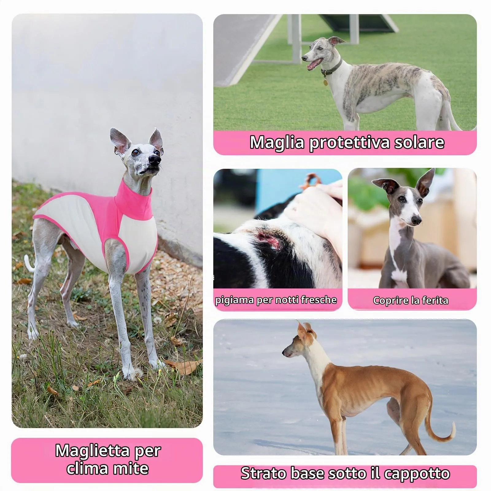 Maglietta per Whippet, Cotone Felpa Levrieri Italiani Camicia Whippet Traspirante Canotta Gilet Sportivo Senza Maniche Leggero Vestito Levrieri Italiani Felpa Elastico per Clima Mite(Rosa, M) - immagine 6