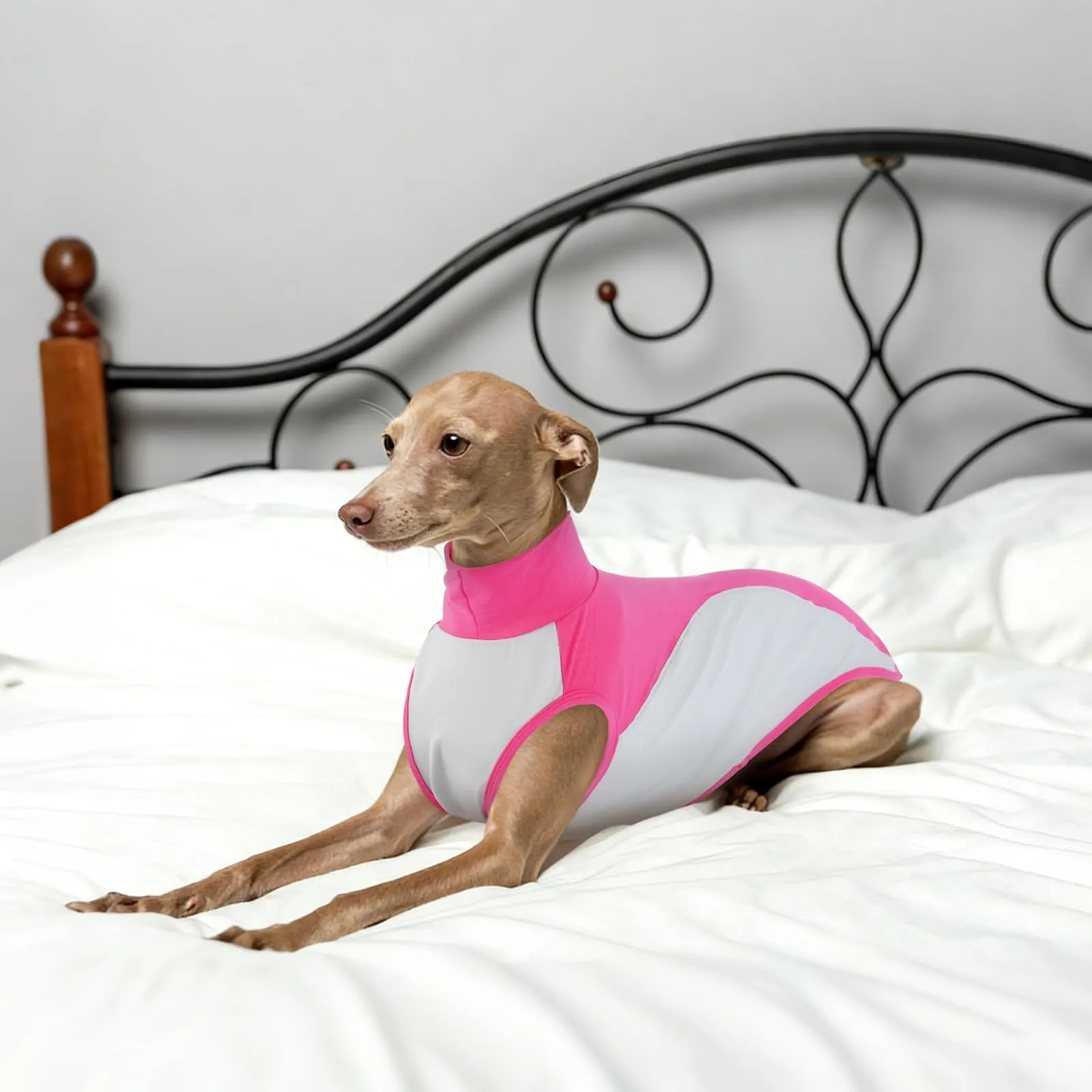 Maglietta per Whippet, Cotone Felpa Levrieri Italiani Camicia Whippet Traspirante Canotta Gilet Sportivo Senza Maniche Leggero Vestito Levrieri Italiani Felpa Elastico per Clima Mite(Rosa, M) - immagine 7