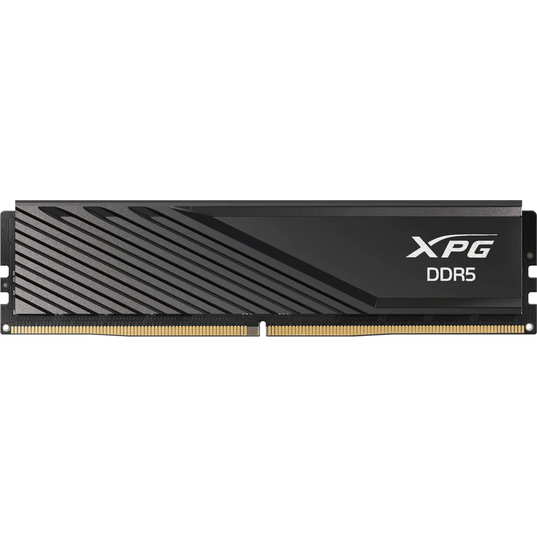DIMM 16 GB DDR5-6000, Memoria - immagine 1