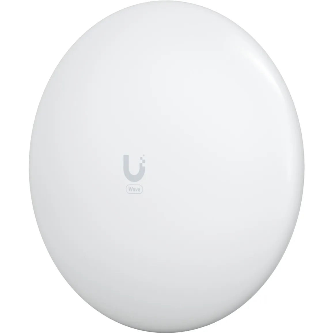 UniFi Wave Long-Range, Ponte - immagine 1