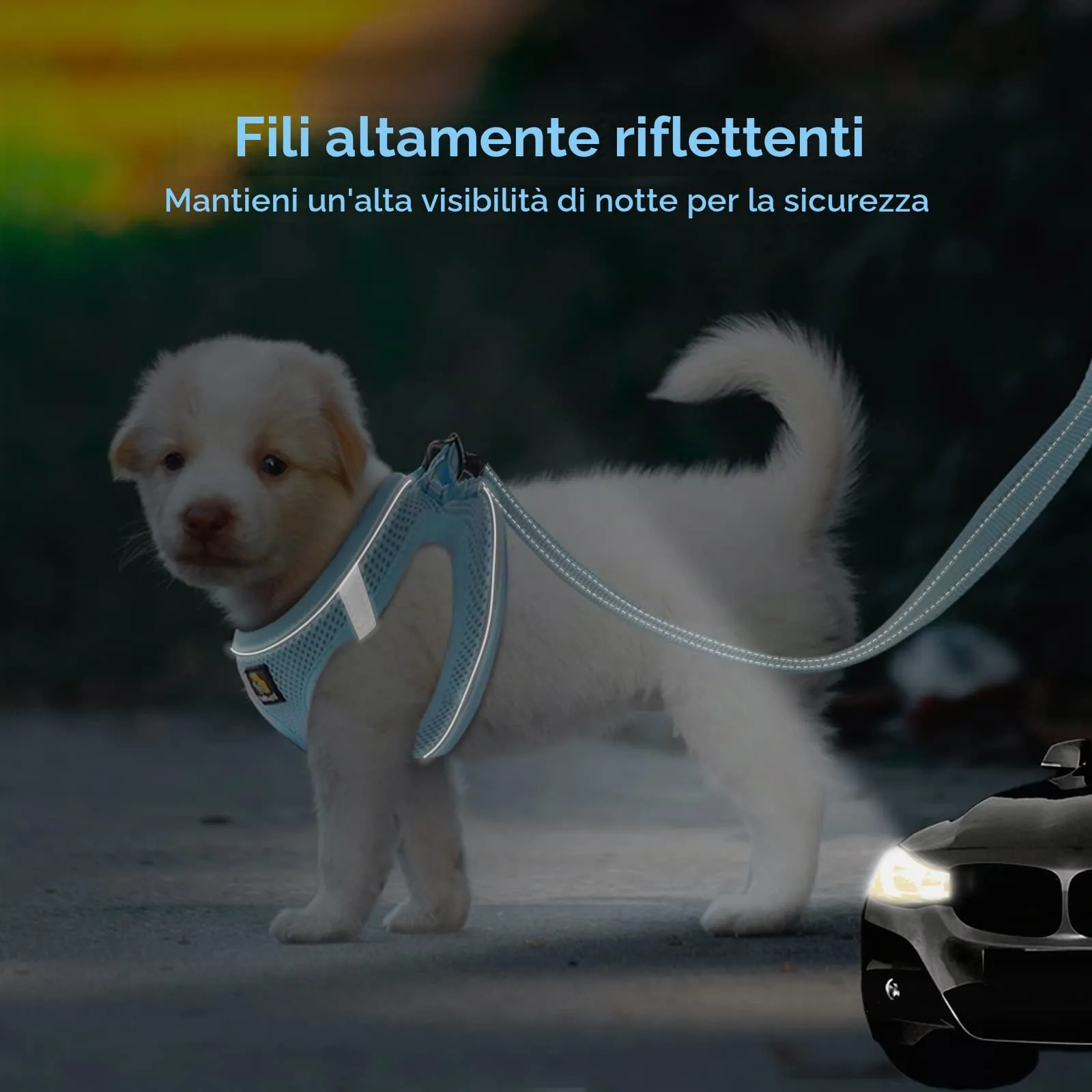 BELLA & PAL Pettorina Cane Taglia Piccola, Pettorine per Cuccioli con Guinzaglio, Step In Riflettente in Air Mesh Morbida e Traspirante, Imbracatura per Cani Poccoli, Blu, S - immagine 5