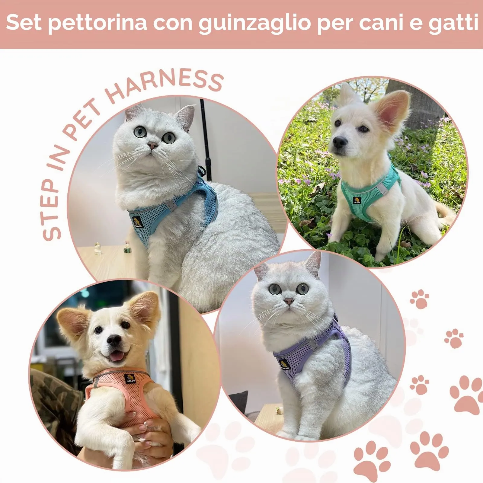 BELLA & PAL Pettorina Cane Taglia Piccola, Pettorine per Cuccioli con Guinzaglio, Step In Riflettente in Air Mesh Morbida e Traspirante, Imbracatura per Cani Poccoli, Rosa, S - immagine 7