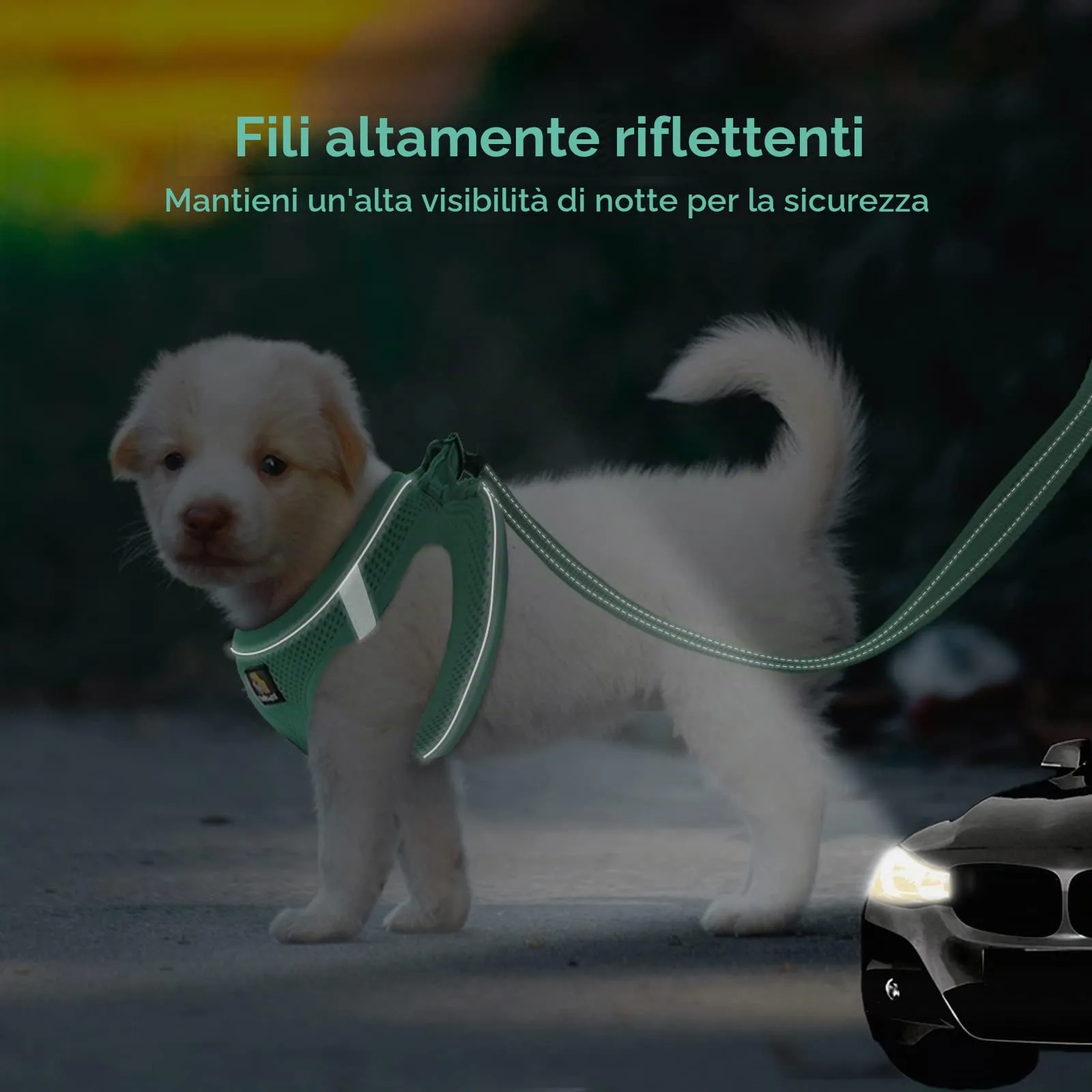 BELLA & PAL Pettorina Cane Taglia Piccola, Pettorine per Cuccioli con Guinzaglio, Step In Riflettente in Air Mesh Morbida e Traspirante, Imbracatura per Cani Poccoli, Verde, S - immagine 5