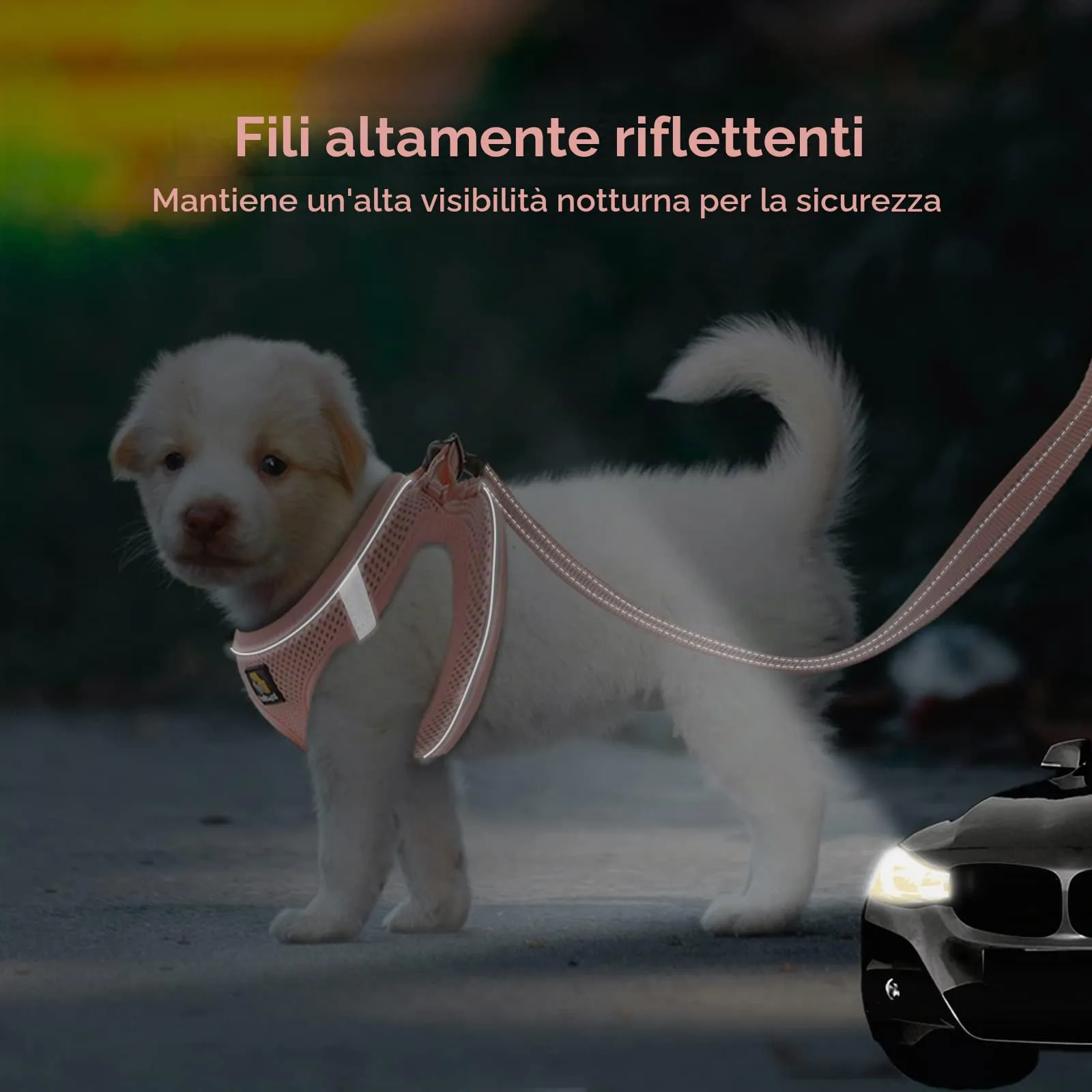 BELLA & PAL Pettorina Cane Taglia Piccola, Pettorine per Cuccioli con Guinzaglio, Step In Riflettente in Air Mesh Morbida e Traspirante, Imbracatura per Cani Poccoli, Rosa, XS - immagine 5