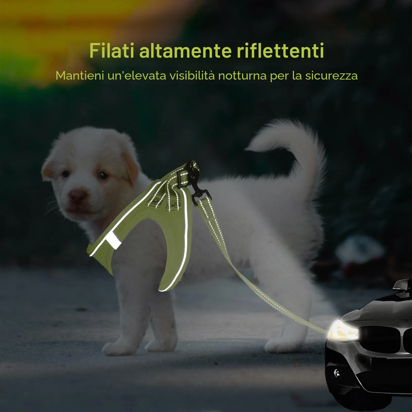 BELLA & PAL Pettorina Cane Taglia Piccola, Pettorine per Cuccioli con Guinzaglio, Step In Riflettente in Air Mesh Morbida e Traspirante, Imbracatura per Cani Poccoli, Avocado, XS - immagine 5