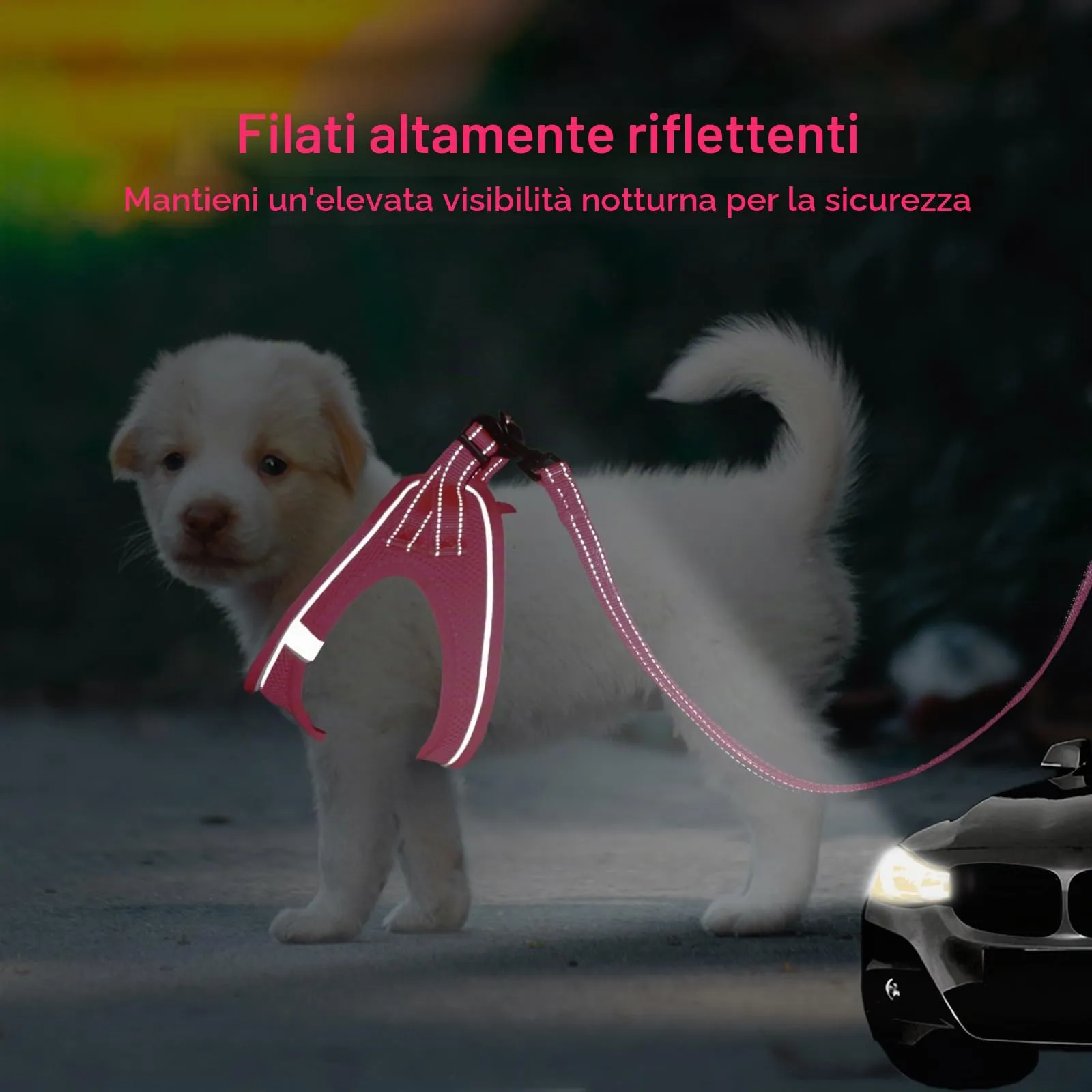 BELLA & PAL Pettorina Cane Taglia Piccola, Pettorine per Cuccioli con Guinzaglio, Step In Riflettente in Air Mesh Morbida e Traspirante, Imbracatura per Cani Poccoli, Fucsia, XXS - immagine 6