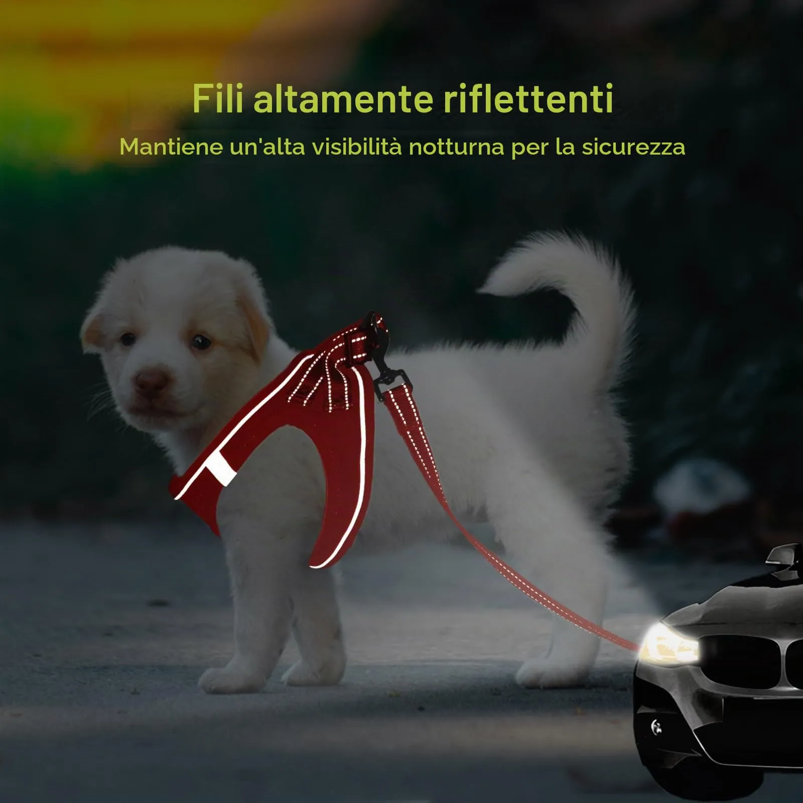 BELLA & PAL Pettorina Cane Taglia Piccola, Pettorine per Cuccioli con Guinzaglio, Step In Riflettente in Air Mesh Morbida e Traspirante, Imbracatura per Cani Poccoli, Rosso, XXS - immagine 6
